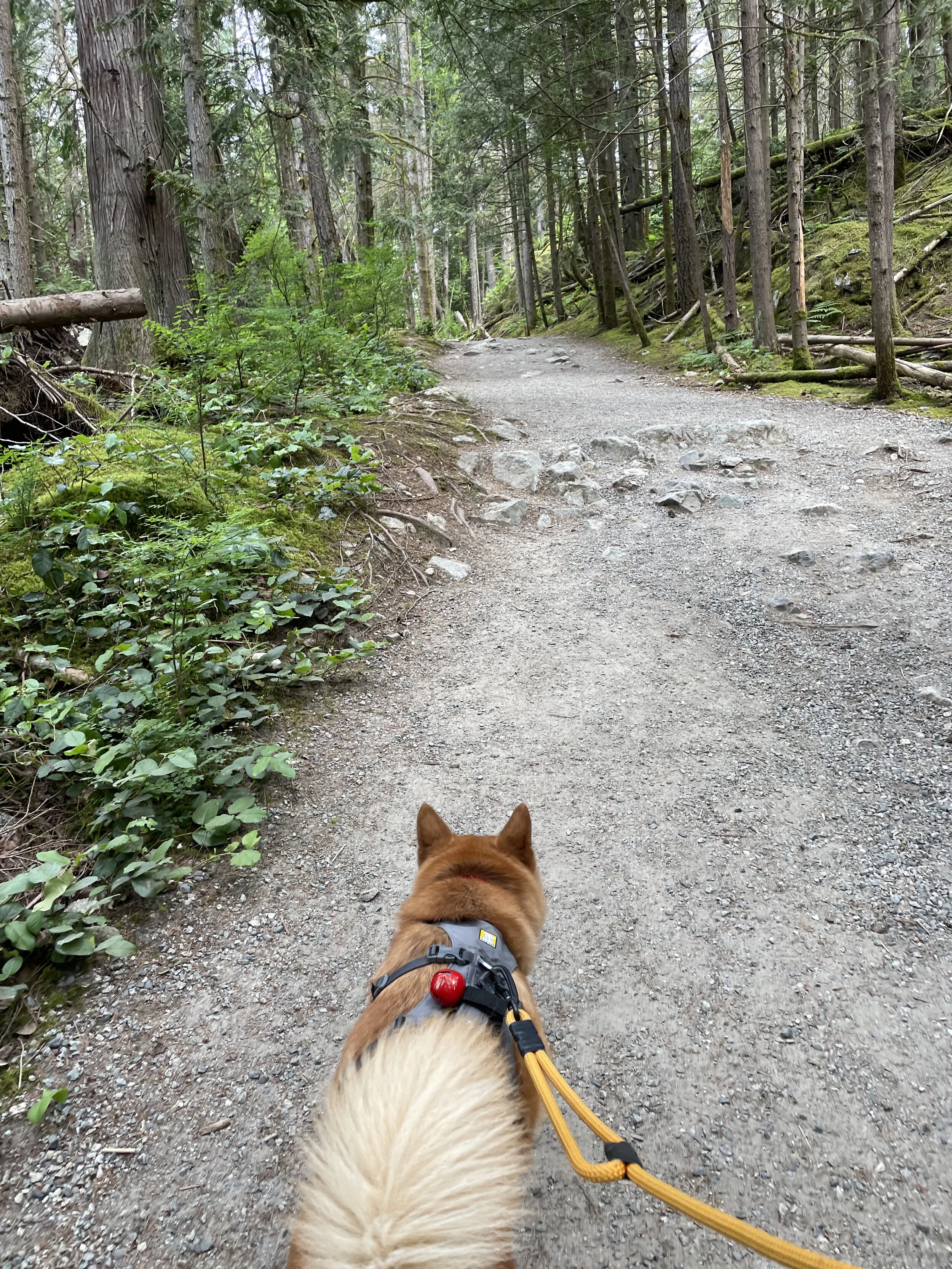 Markus walking along Jug Island Trail