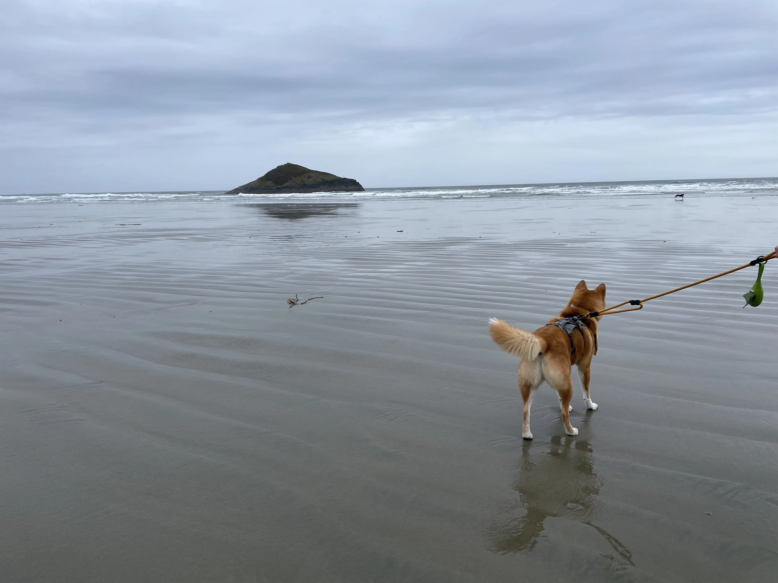Markus getting lost on the vastness of Long Beach