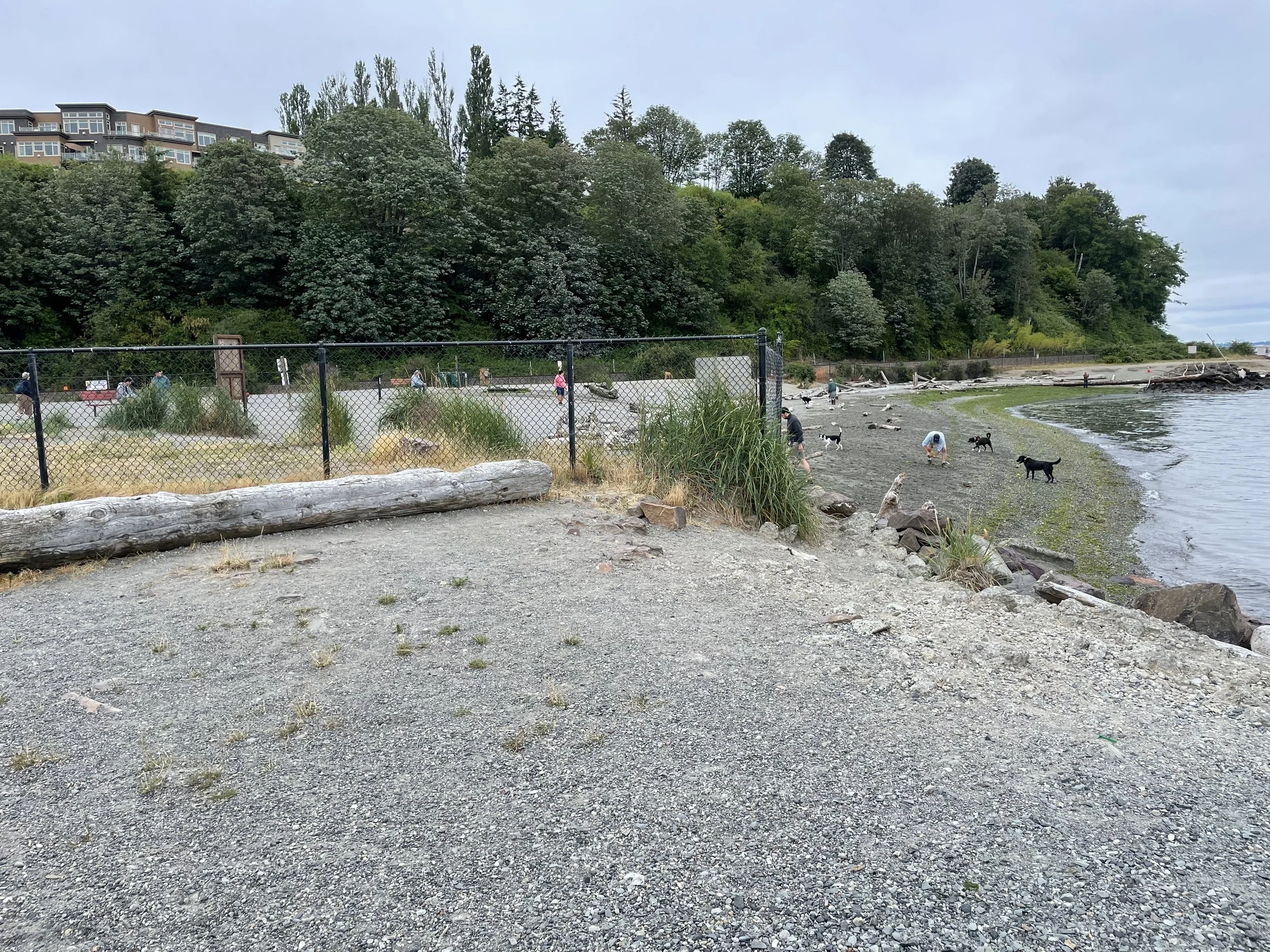 The dedicated off-leash dog park with beach access at Marina Beach Park