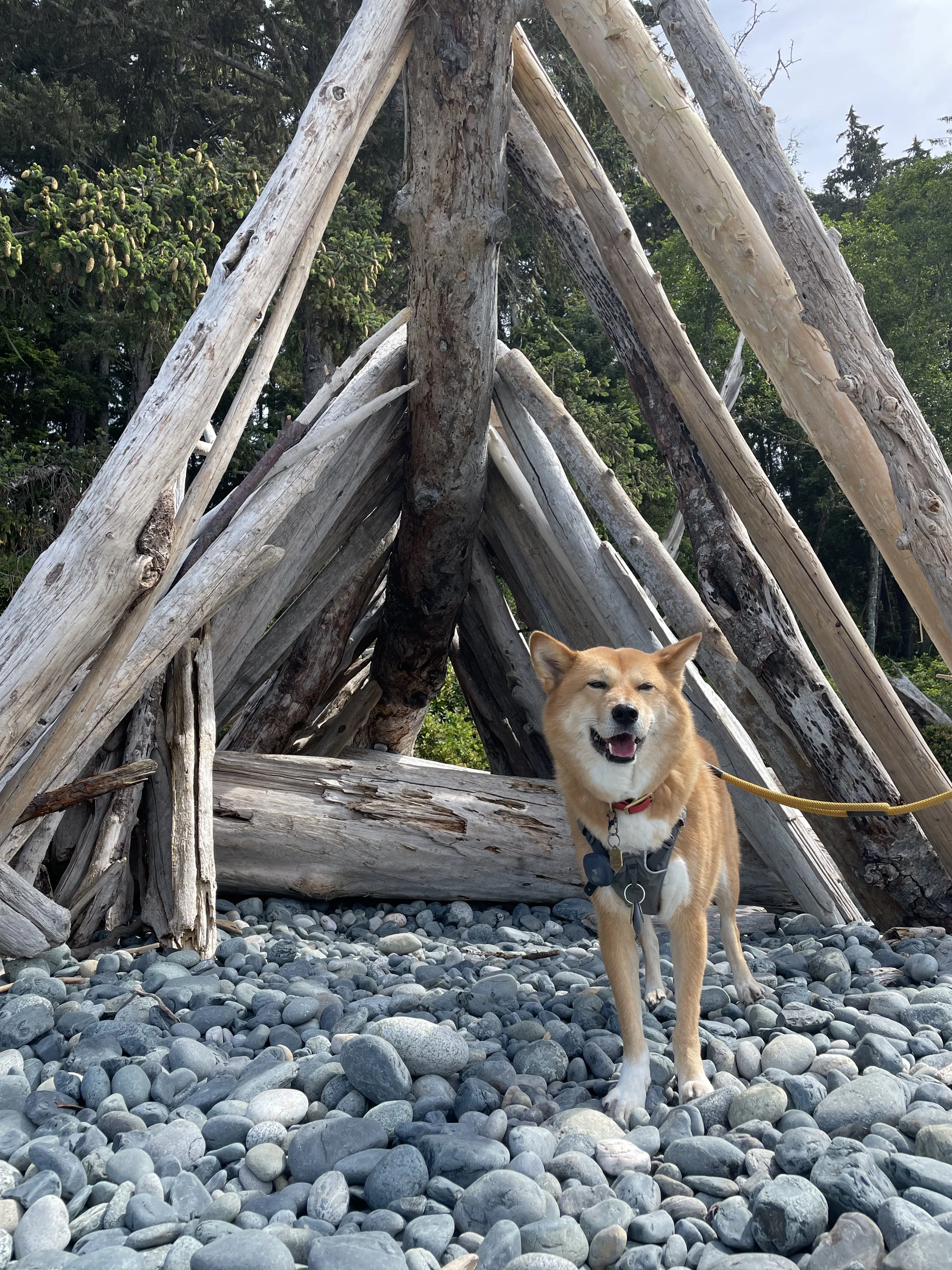 Markus posing in front of a branch structure on Sandcut Beach