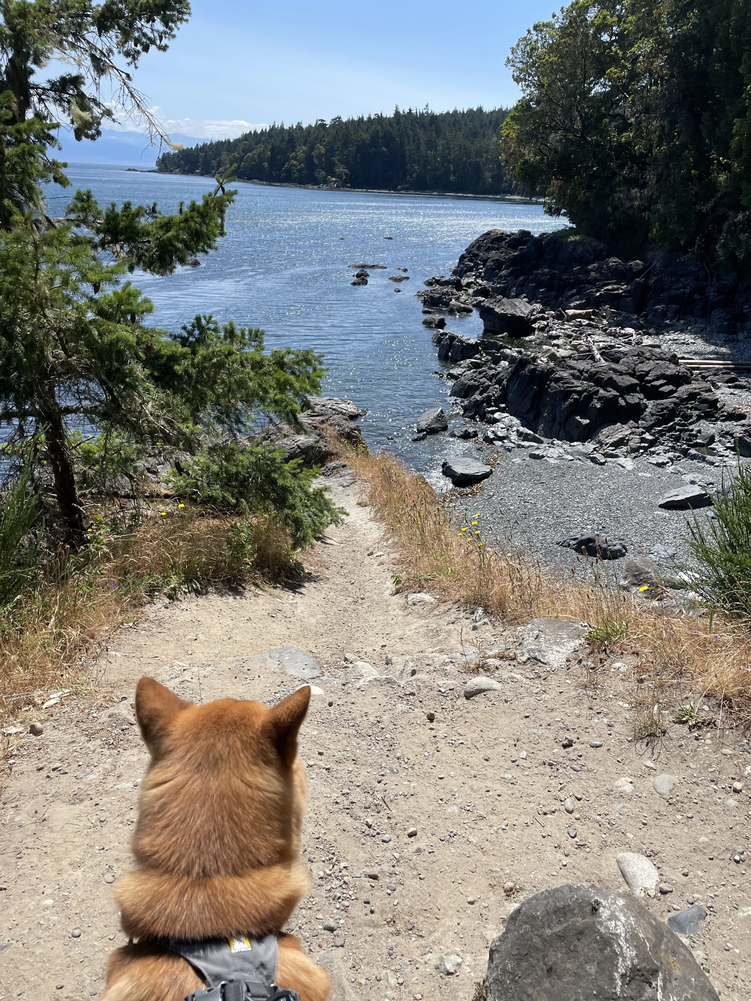 Markus enjoying the view on the Creyke Point Trail