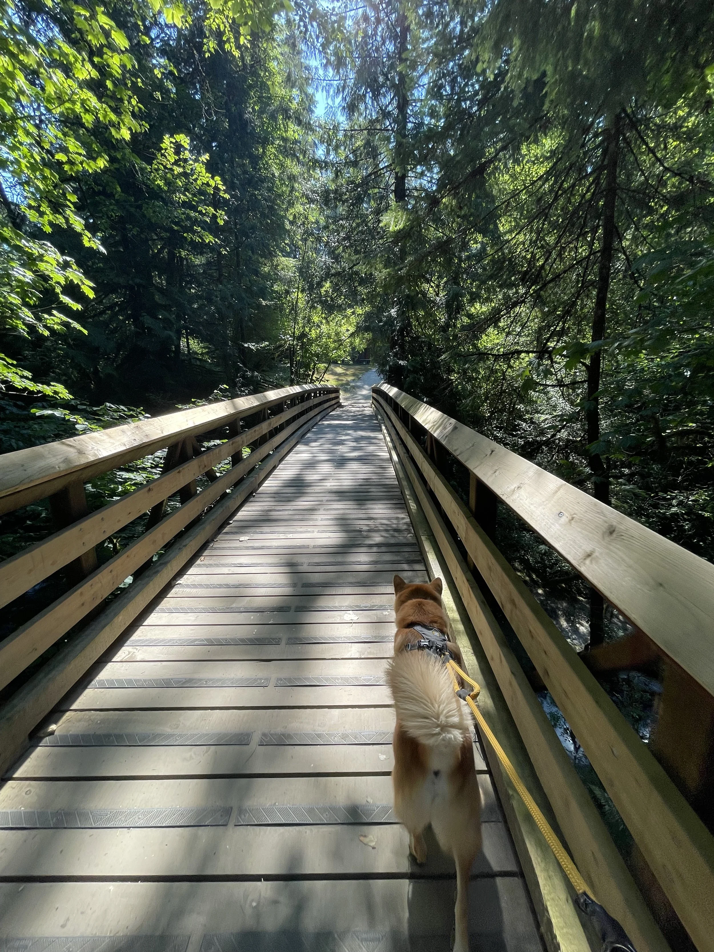 Markus walking over the bridge above Kanaka Creek