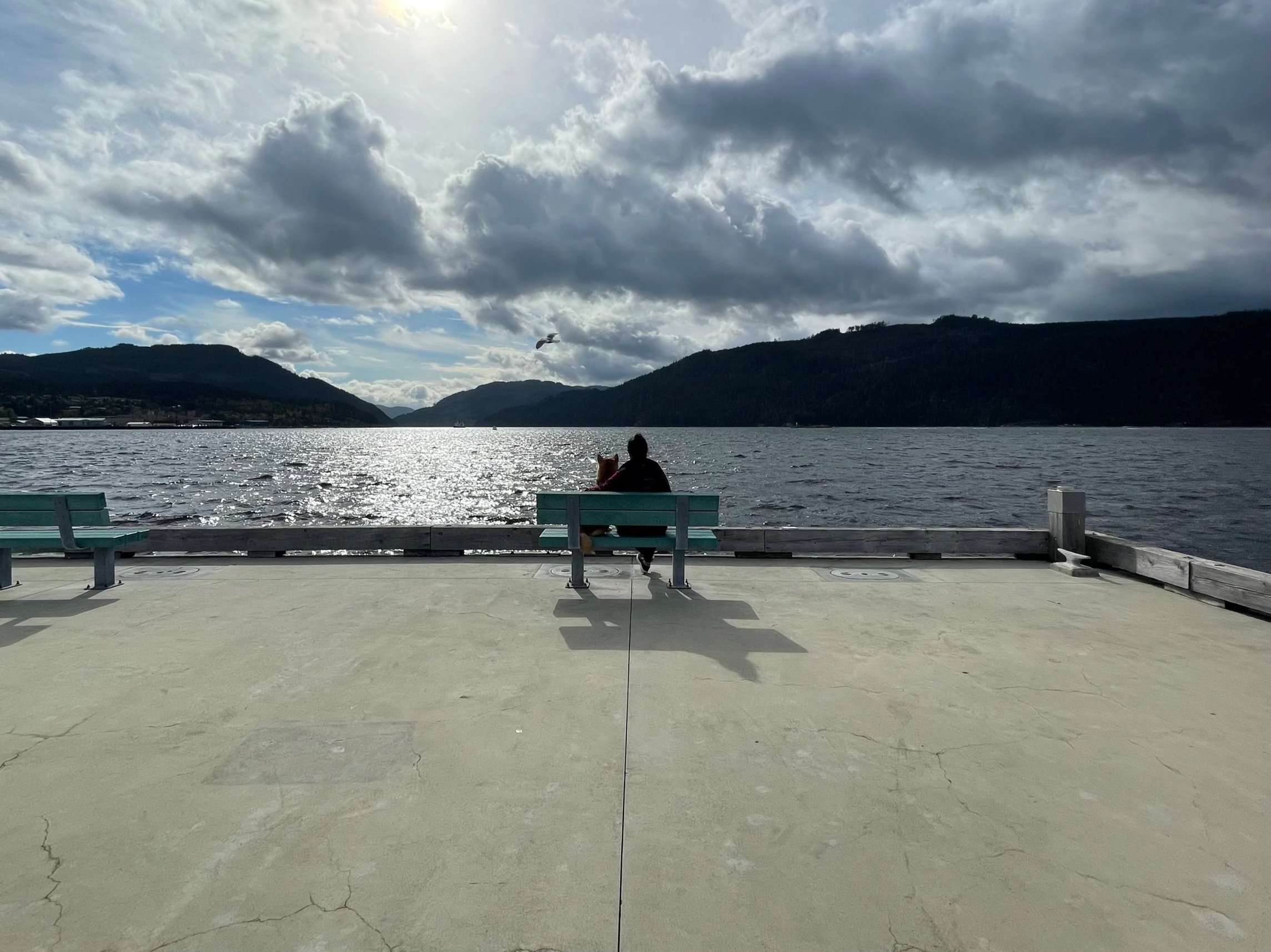 Sitting with Markus on the bench at the dock at the Alberni Harbour Quay