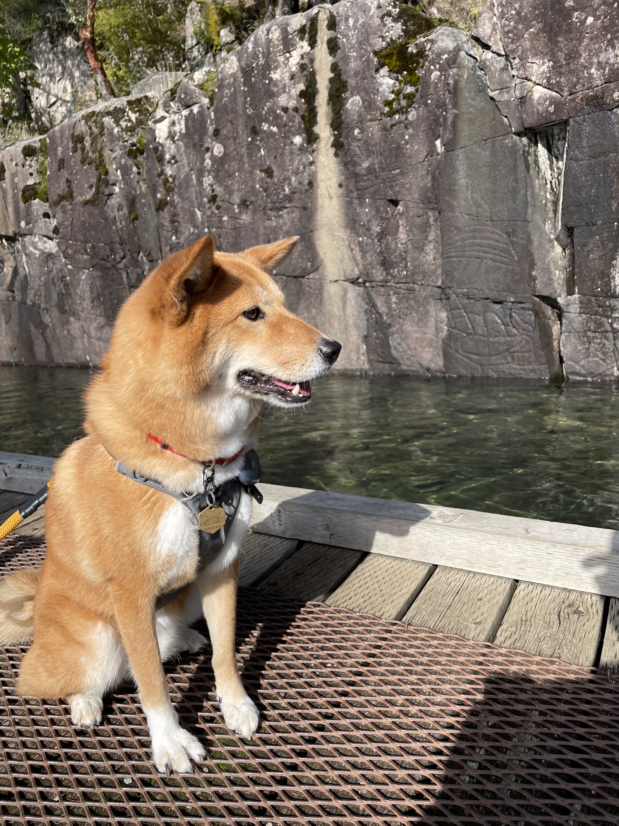 Markus trying to decipher the Petroglyphs