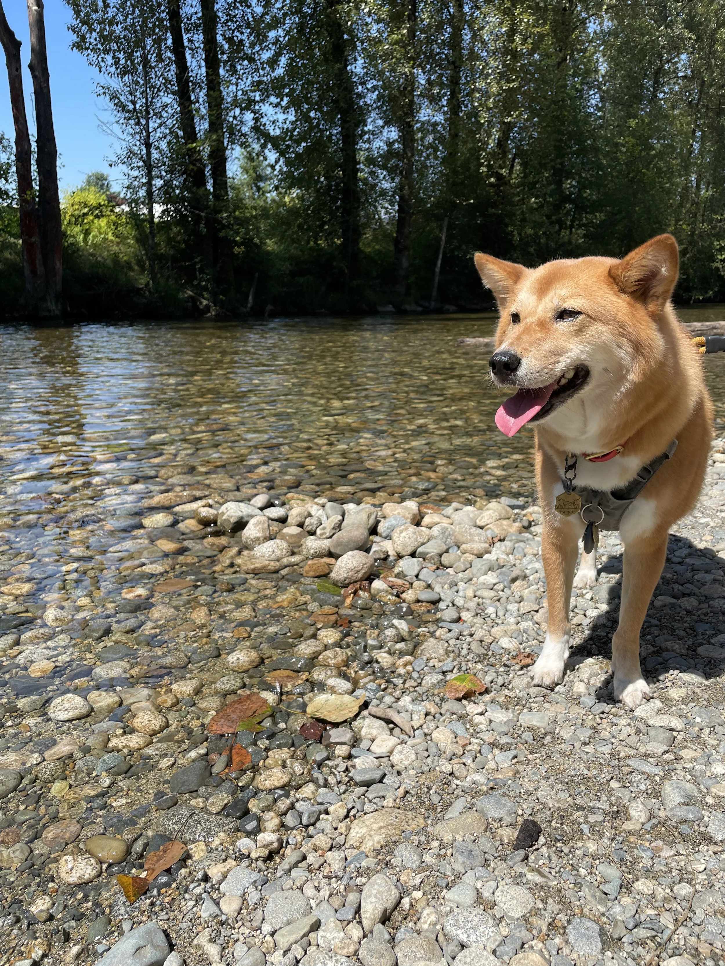 Markus taking a small dip in the river at Lions Park