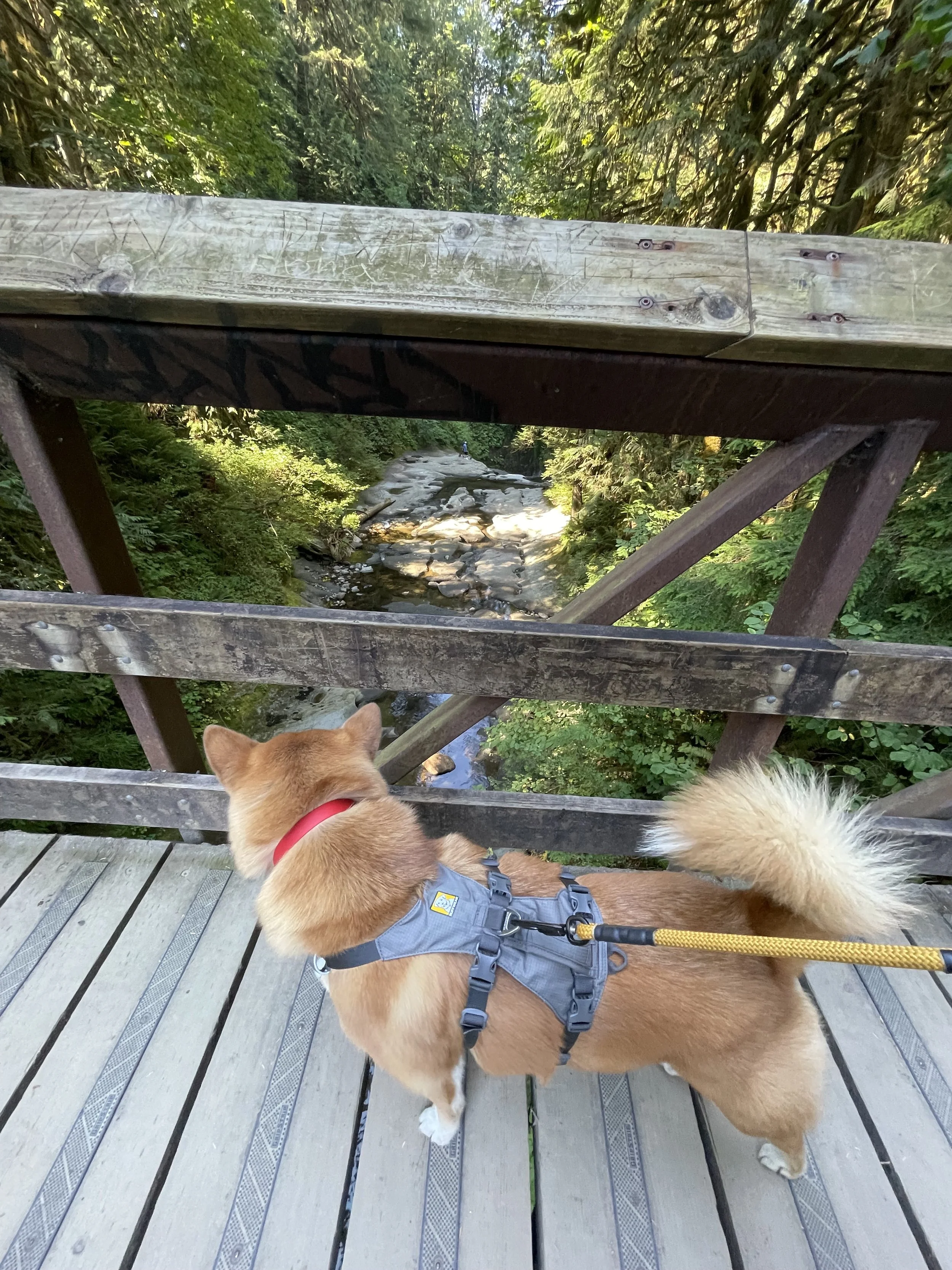 Markus checking out the Kanaka Creek Falls