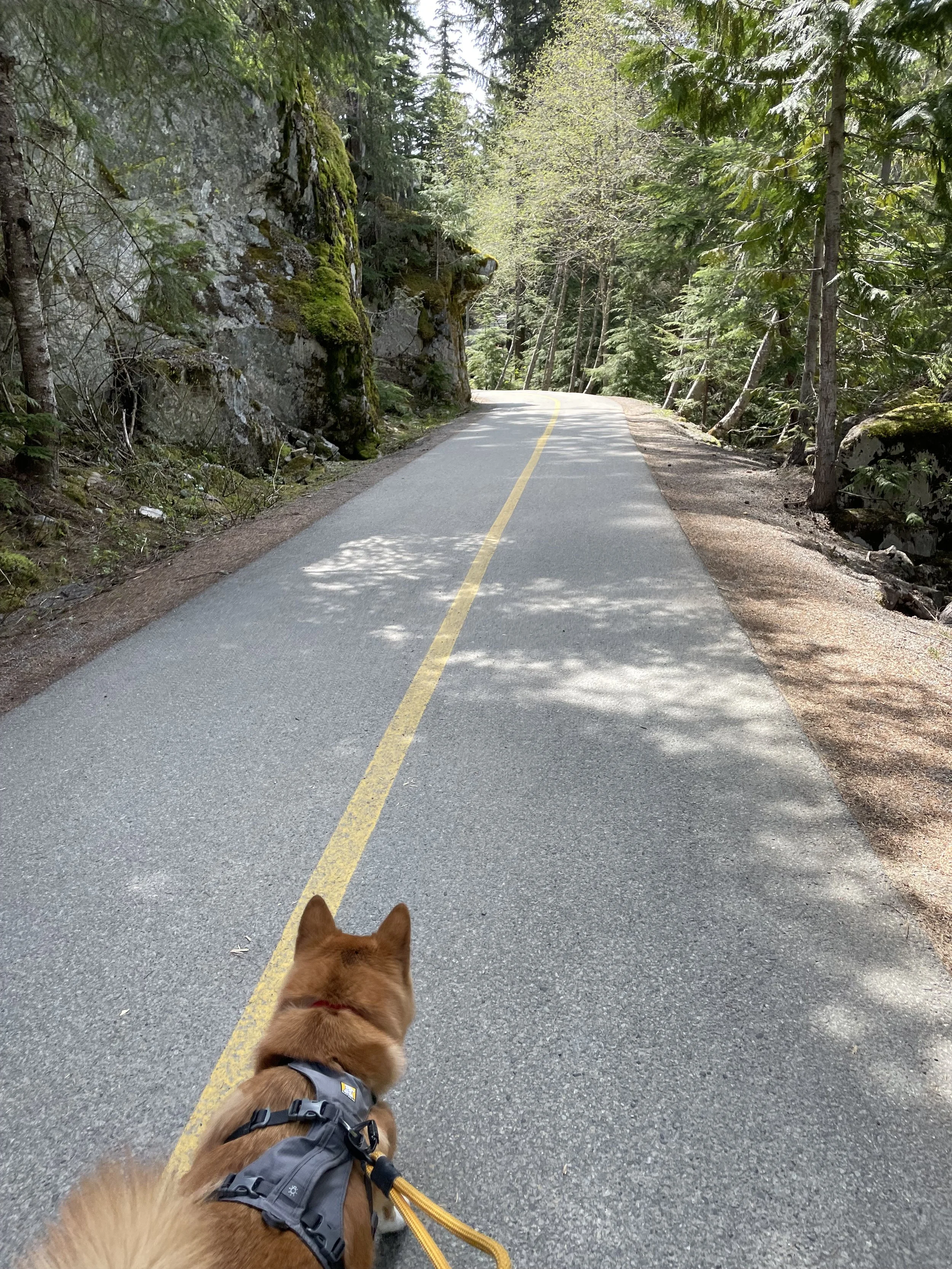Markus taking a walk between Nita Lake and Alta Lake