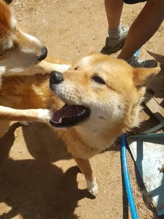 Markus playing with a new friend at Empathy For Life