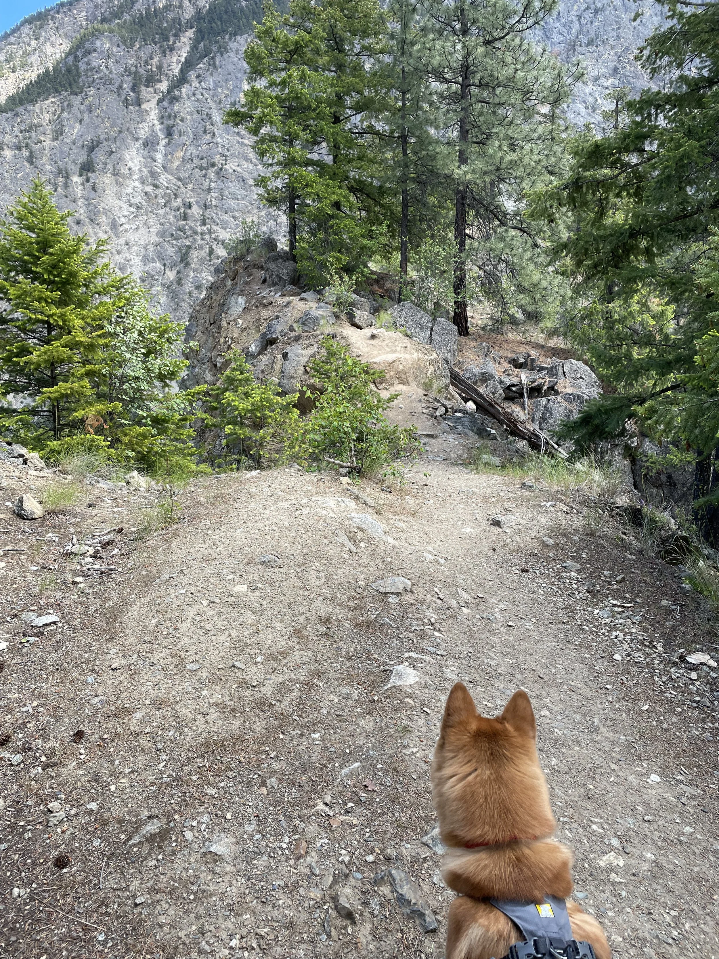 Markus approaching the rocky path at the Seton Lake Lookout