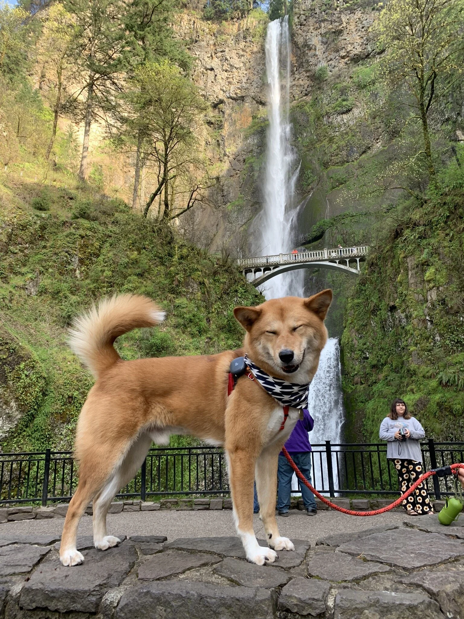 Markus enjoying the stop at Multnomah Falls
