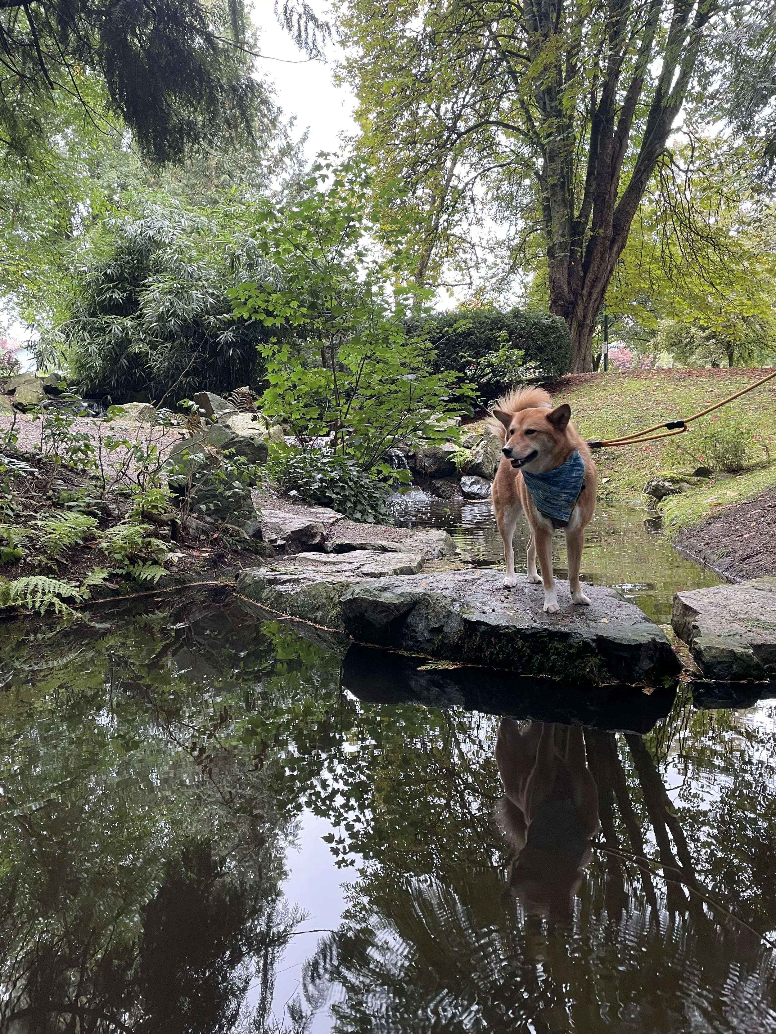 Markus enjoying the serene waters at Tipperary Park