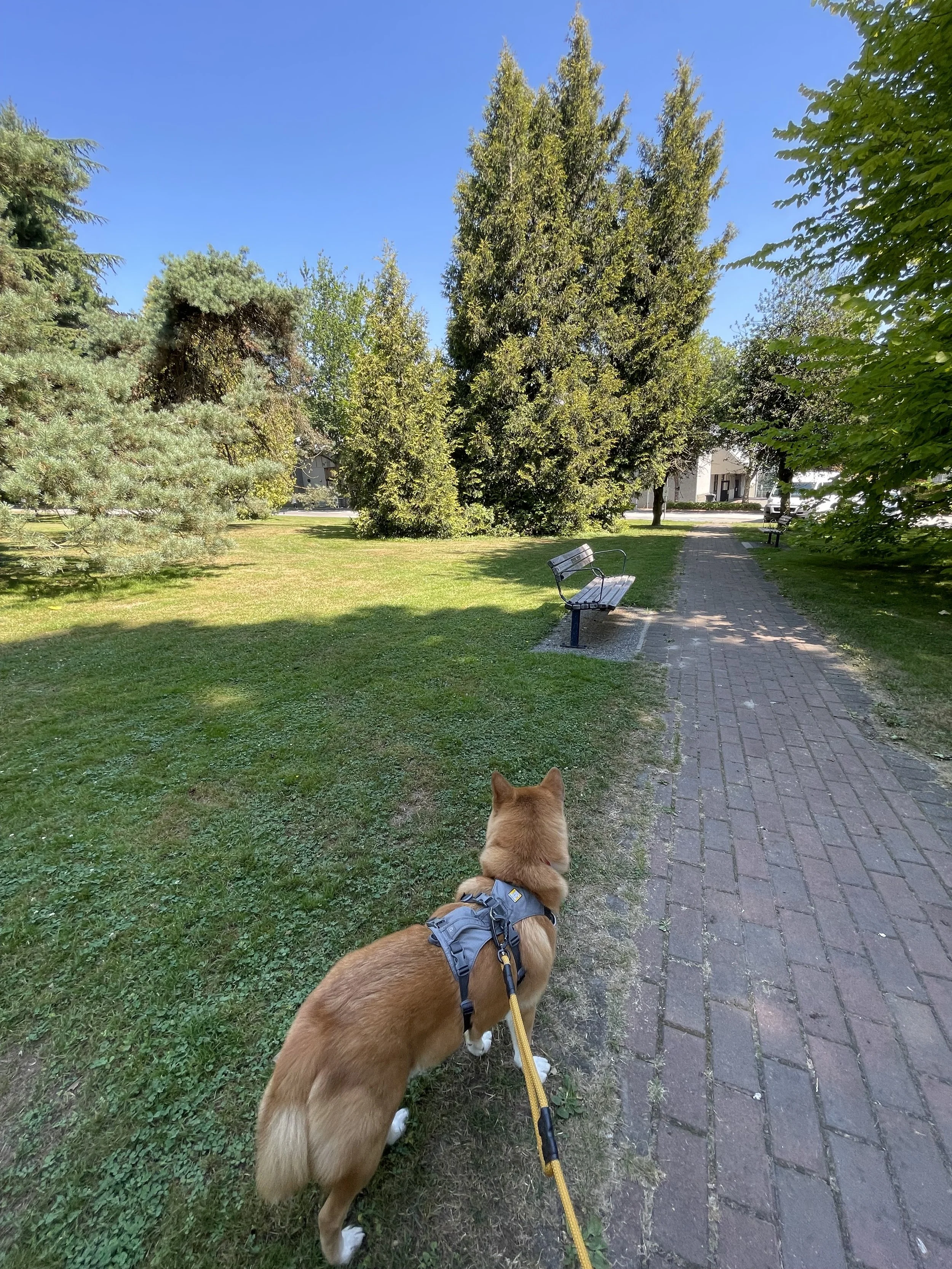 Markus prefers the quieter areas near the gardens at Queen’s Park in New Westminster