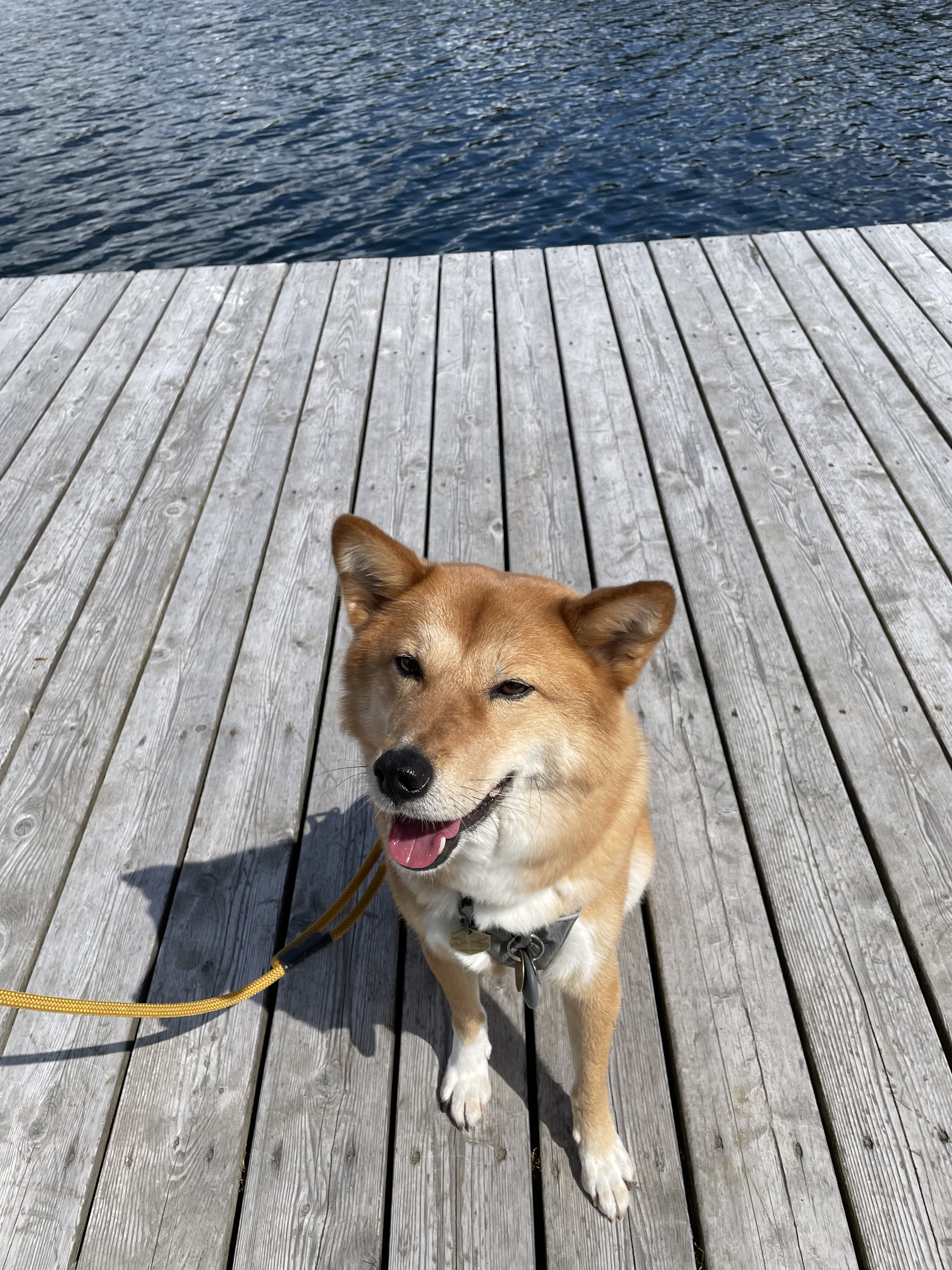 Markus standing on the dock off of Barking Bay at Rainbow Park