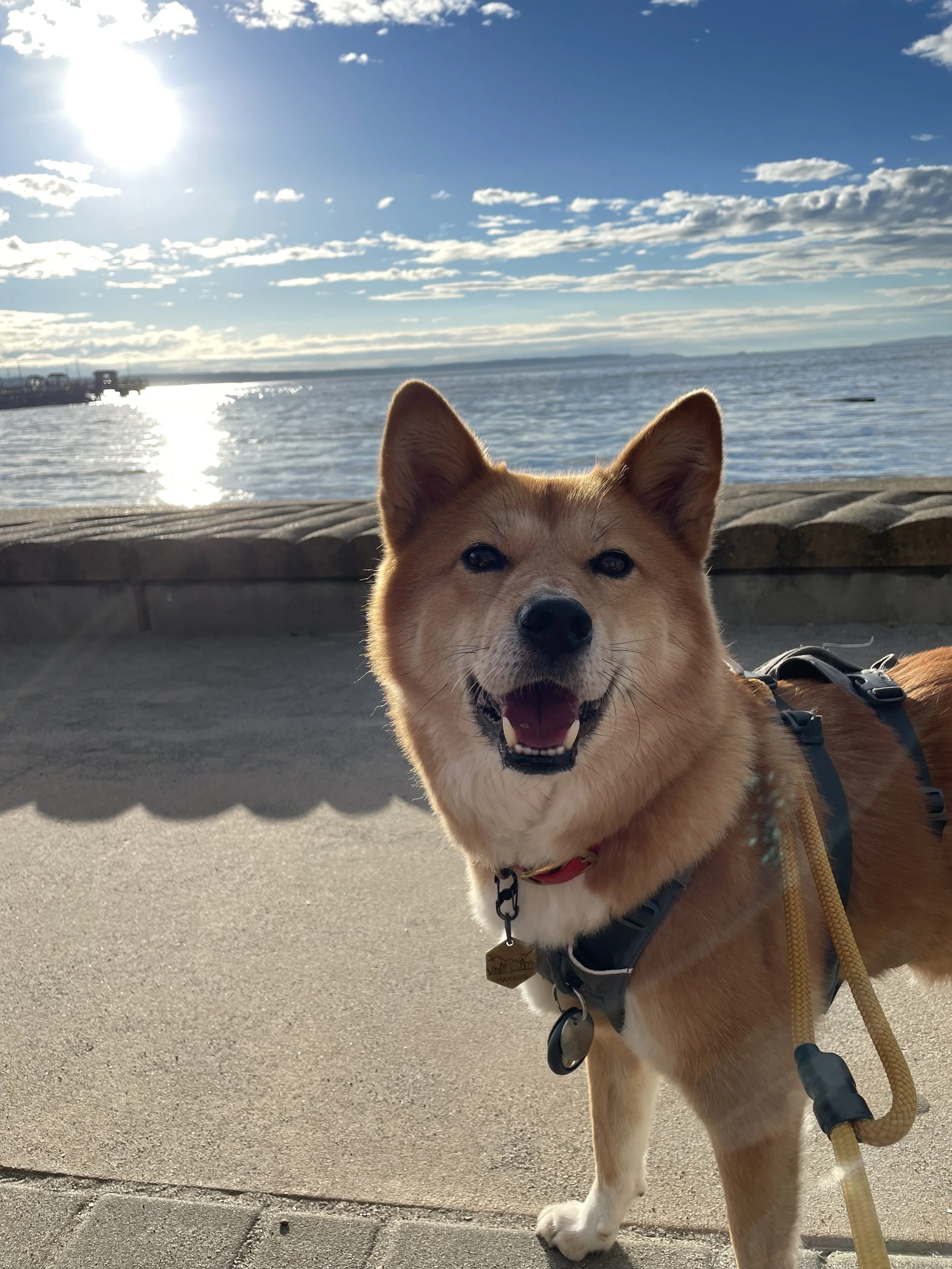 Markus enjoying the sunset from Brackett’s South Landing in Edmonds, Washington