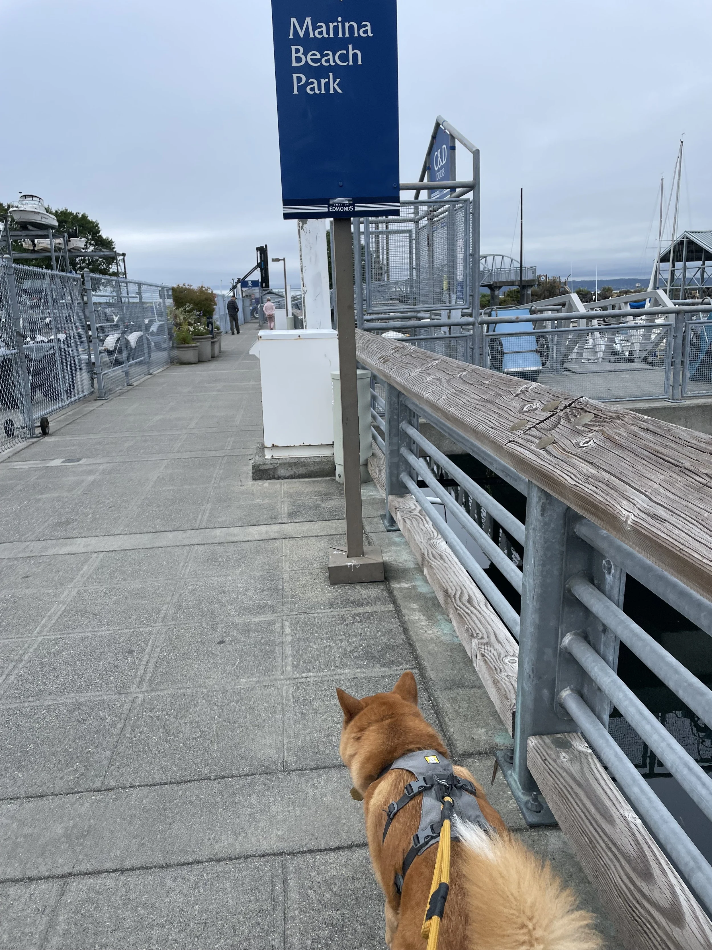 Markus walking towards Marina Beach Park