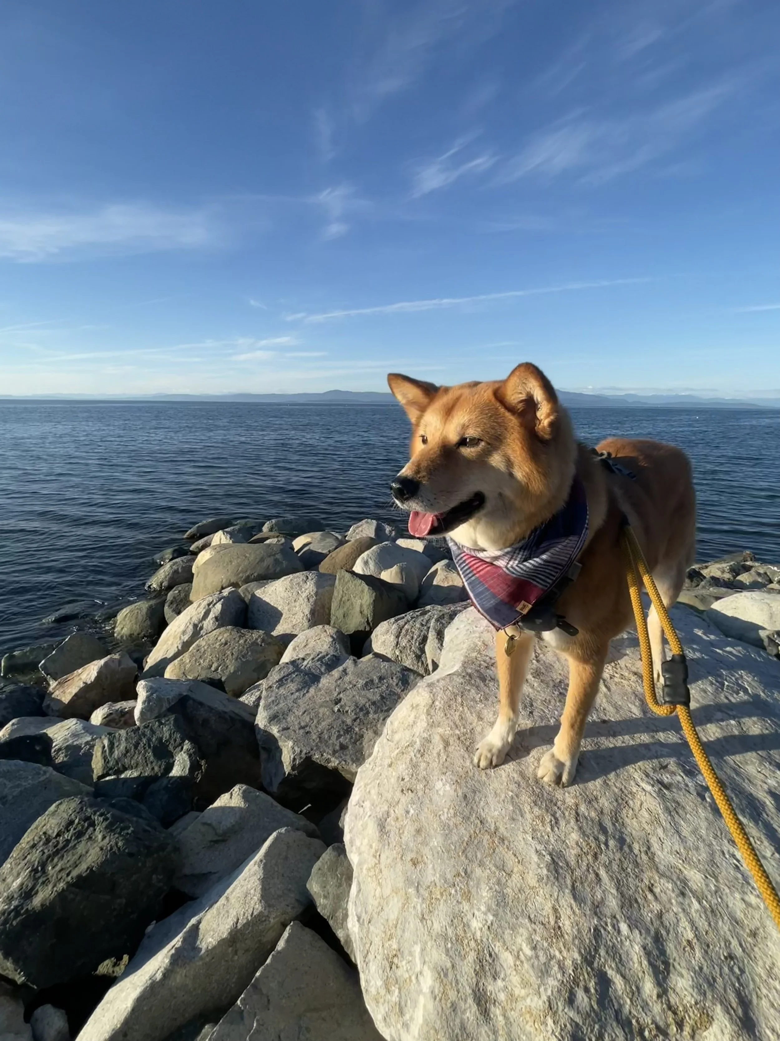 Markus posing on a rock near the roundabout by Qualicum Beach