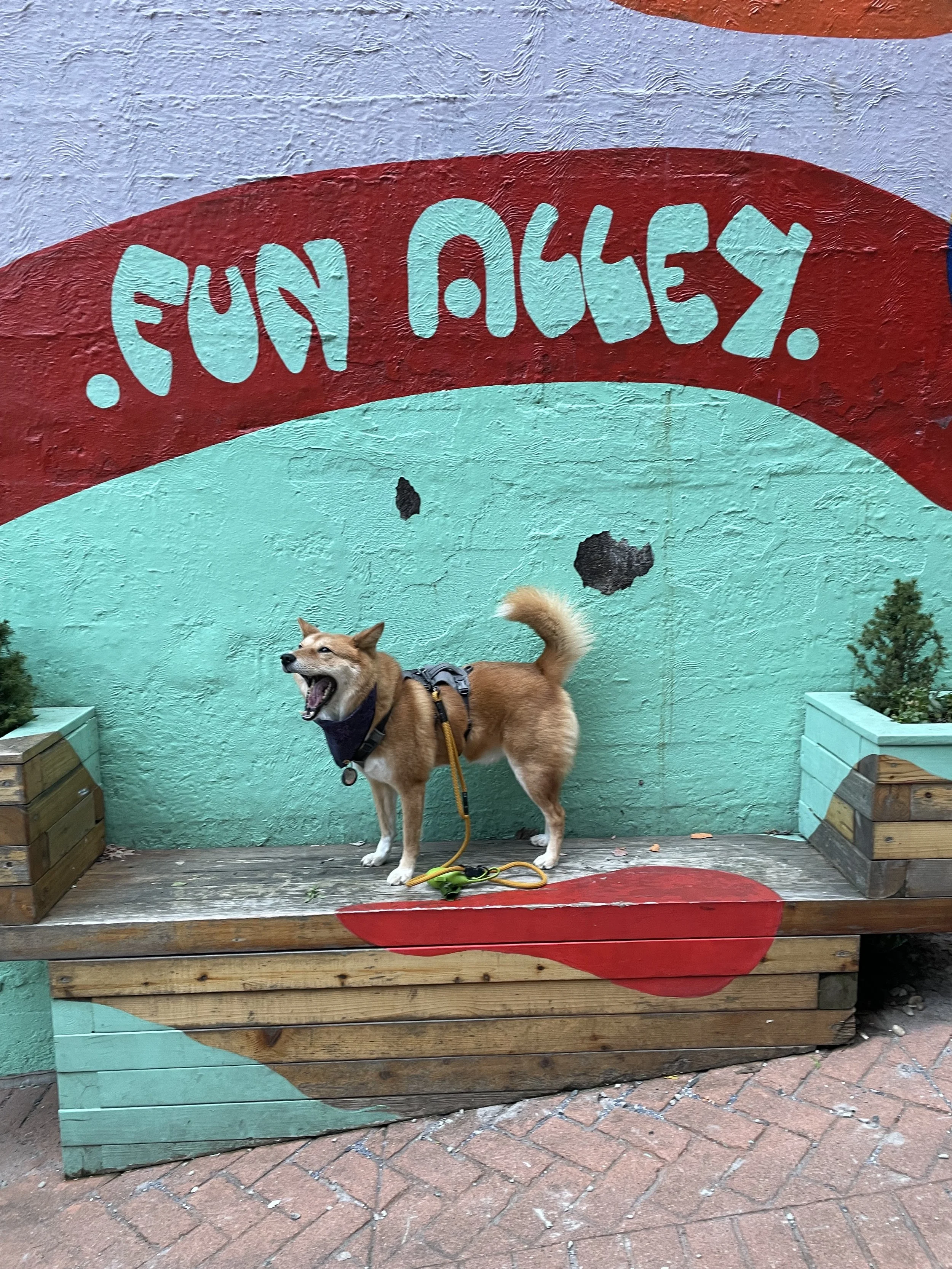 Markus showing us what fun looks like