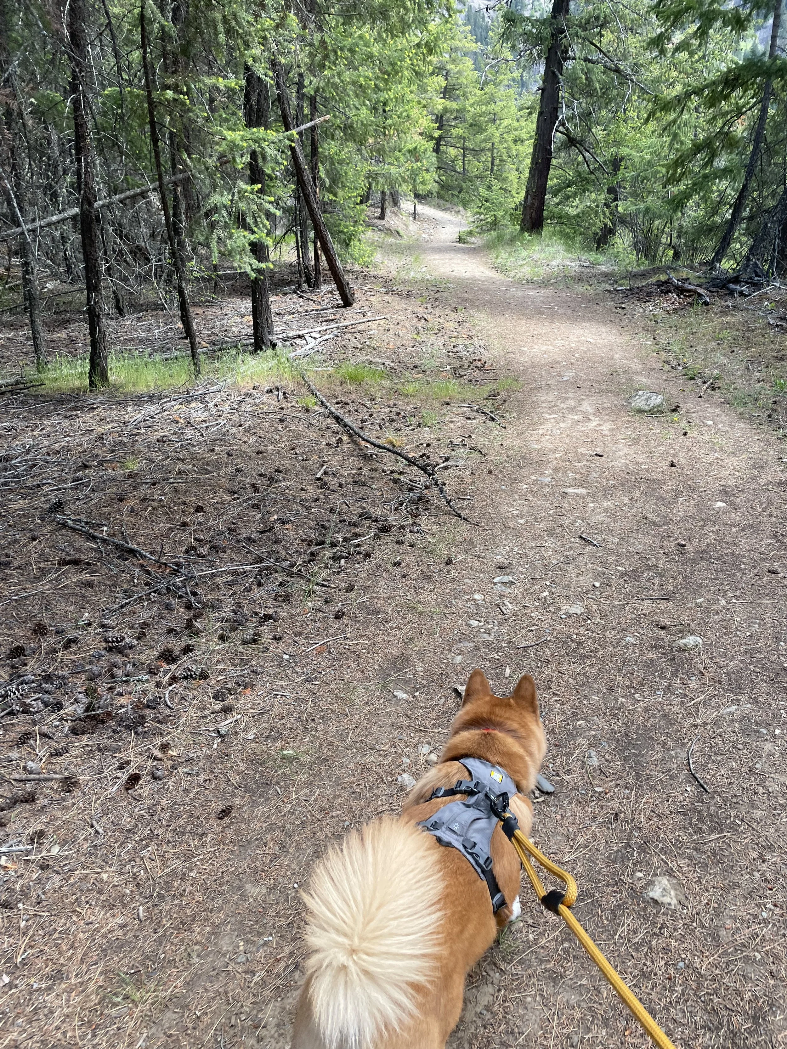 Markus on the trail that is not very well marked, but clear enough