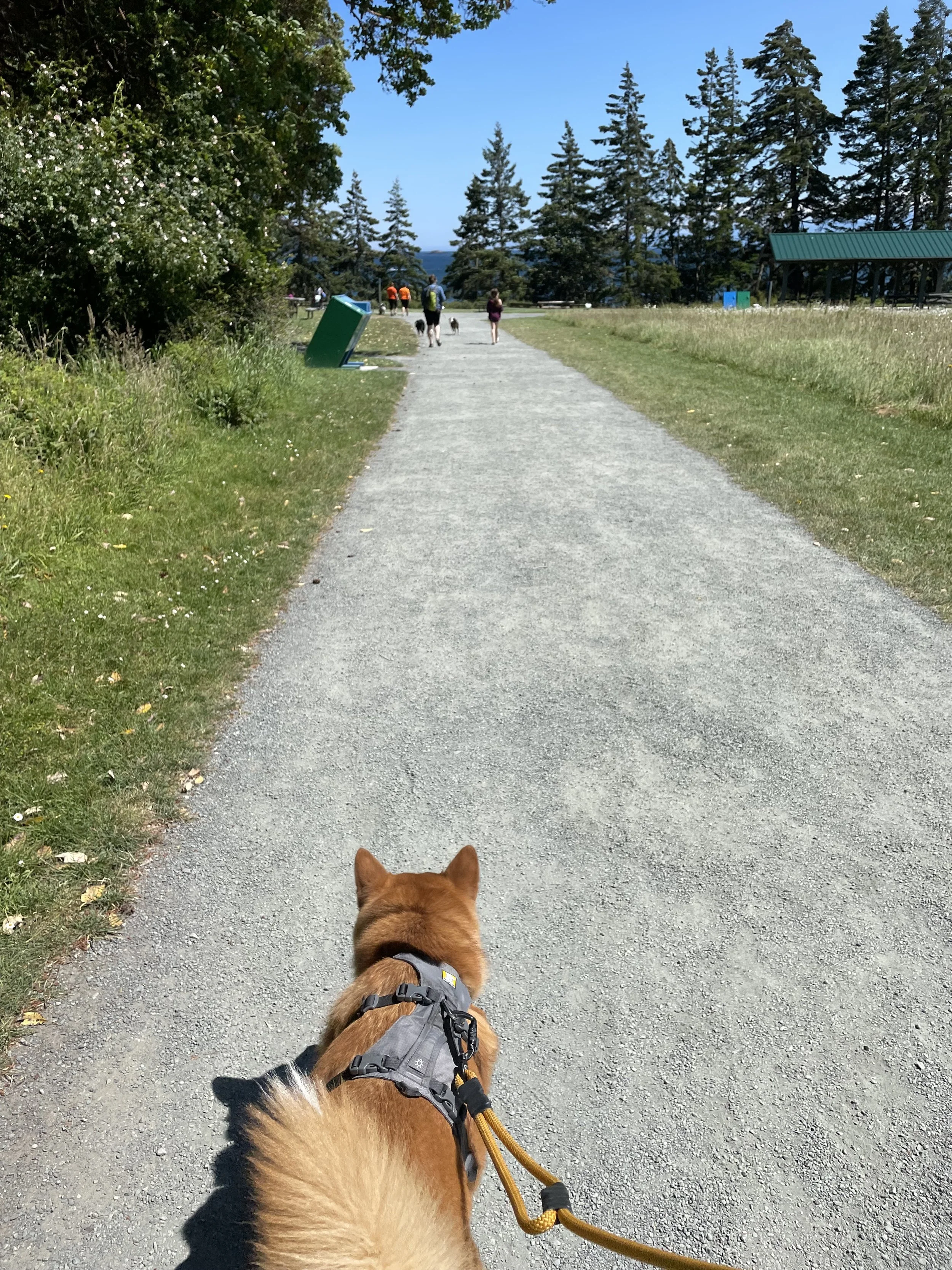 Markus walking from the Aylard Farms parking lot towards Creyke Point