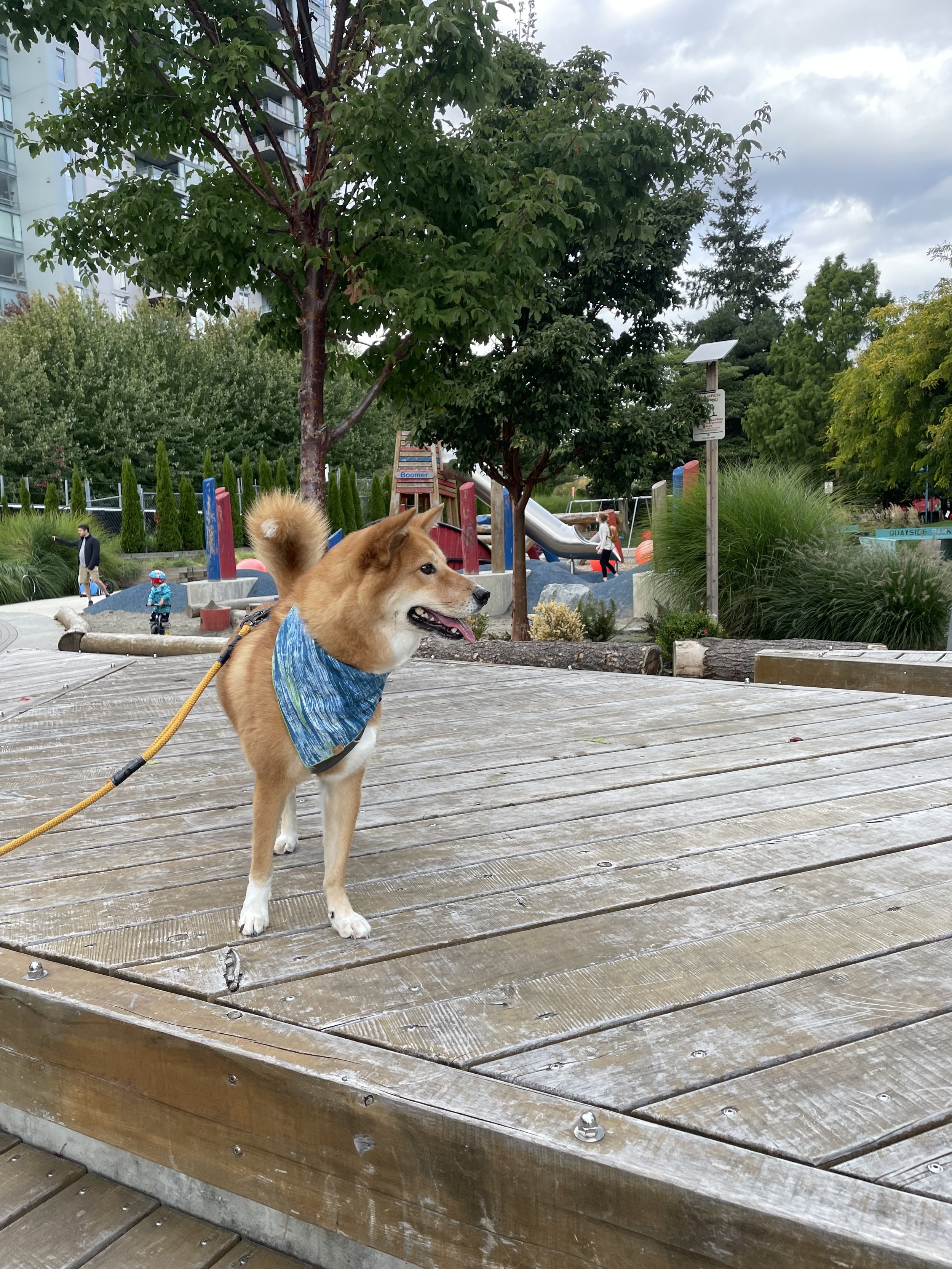 Markus hanging out around Quayside Park
