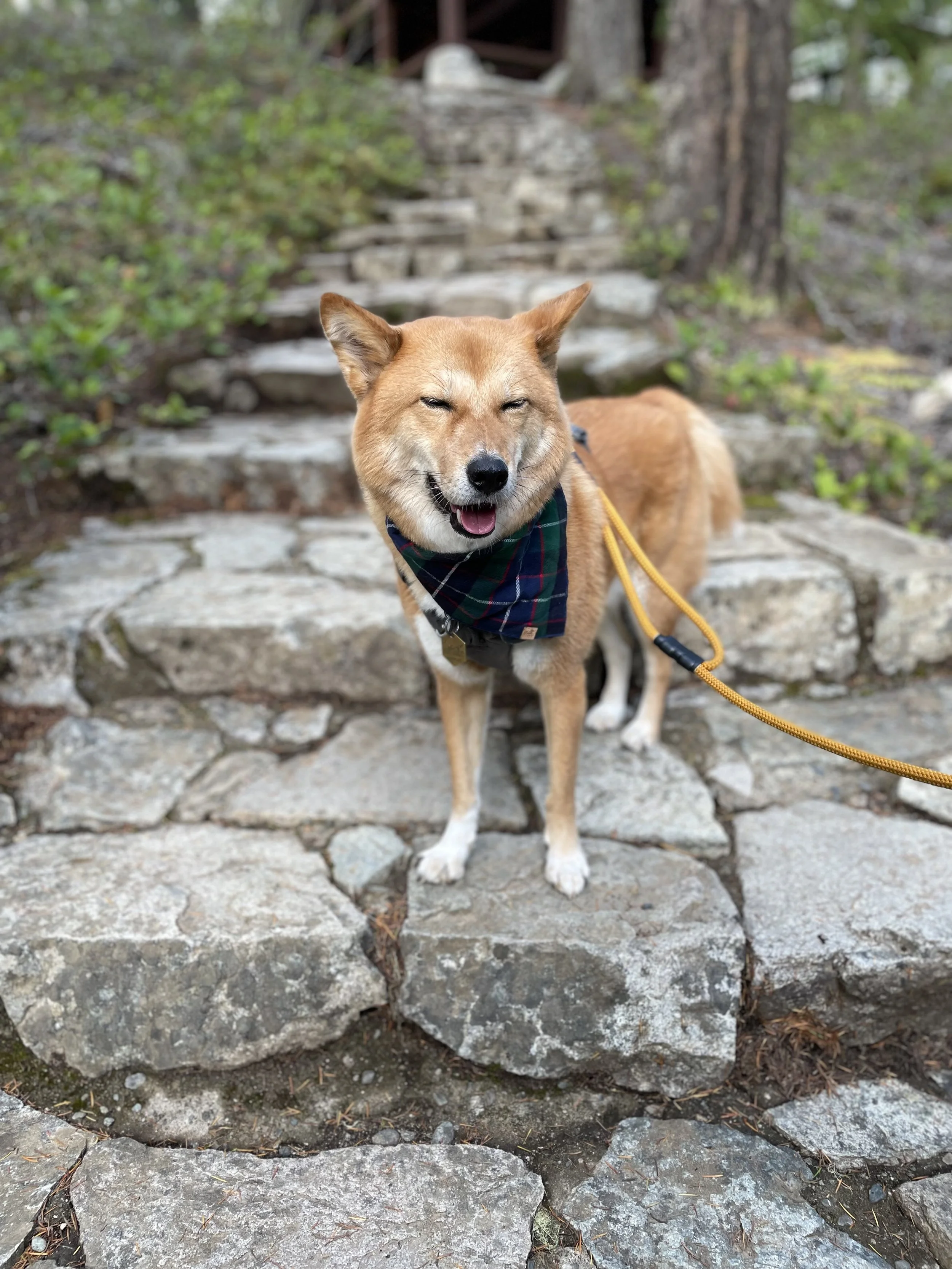 Markus taking a break from the hike at Little Qualicum River and Falls