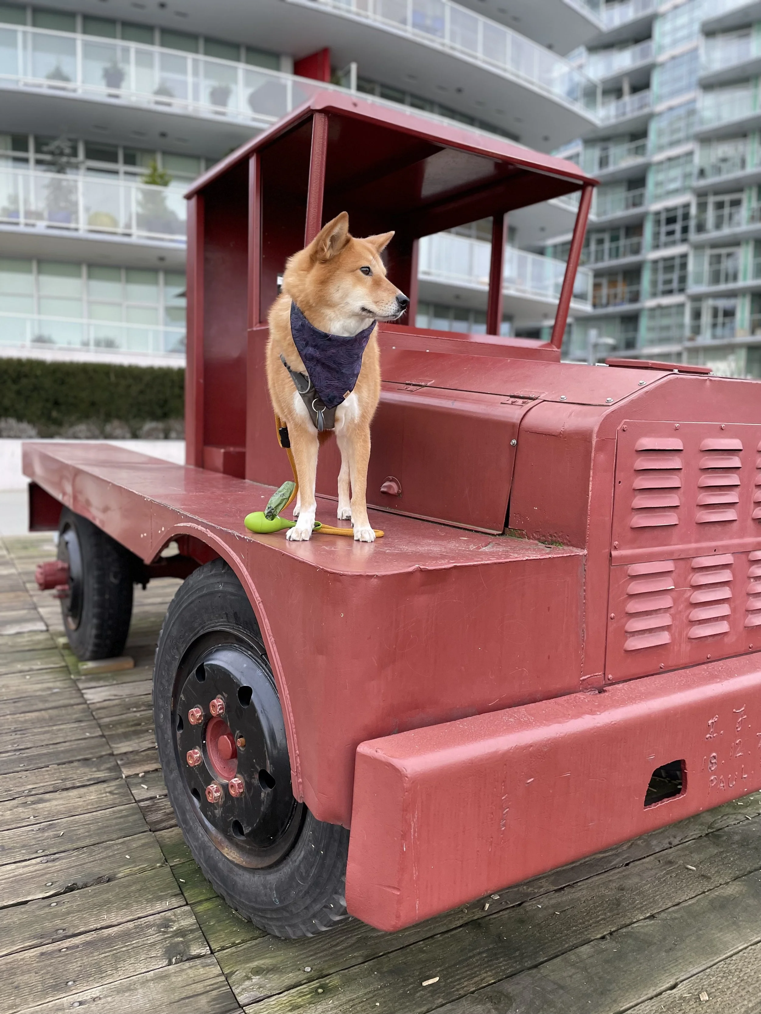 Markus showing off his best look on a car by the pier at Lower Lonsdale