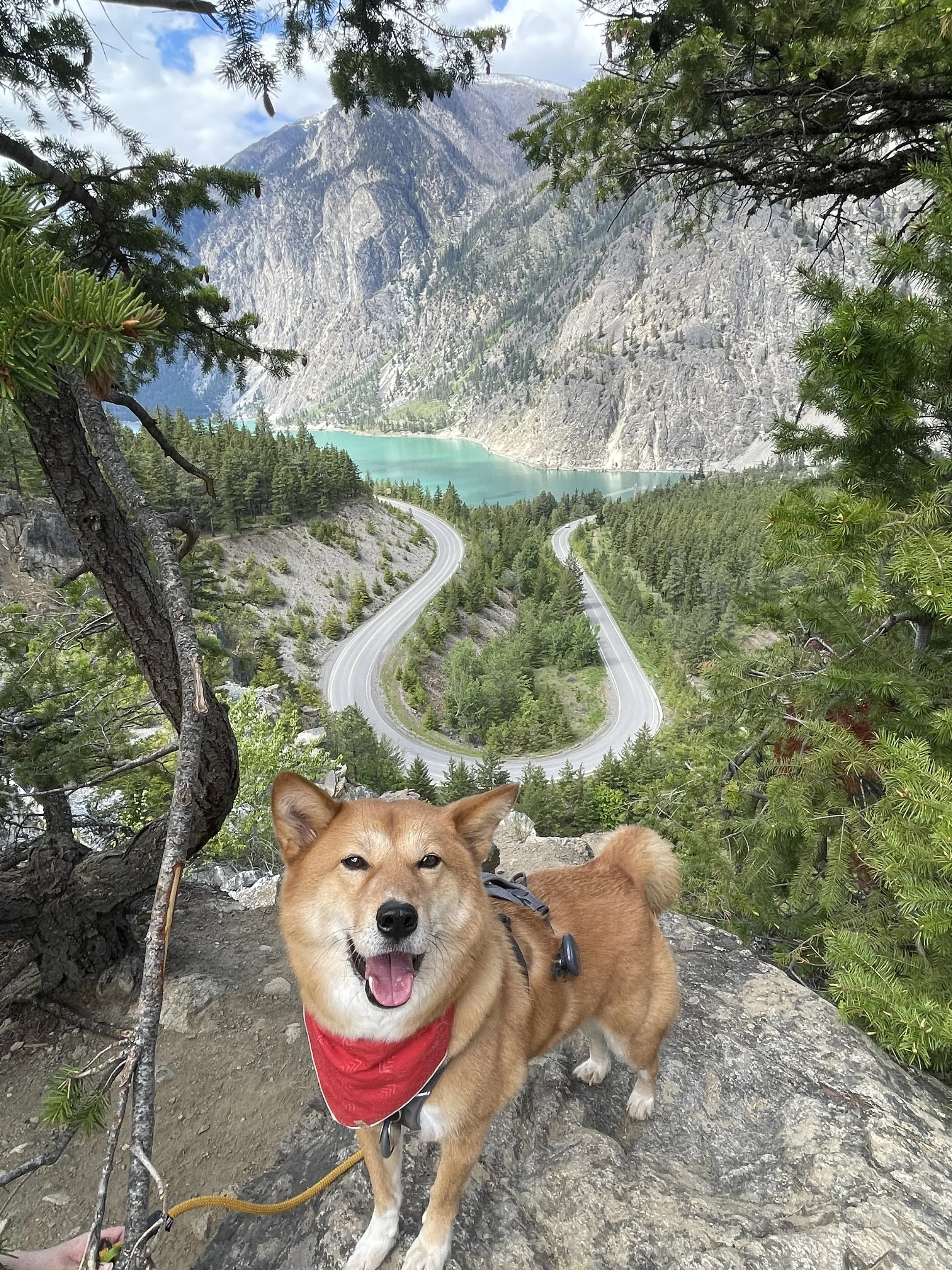Markus posing for a shot with the hairpin at the Seton Lake Lookout