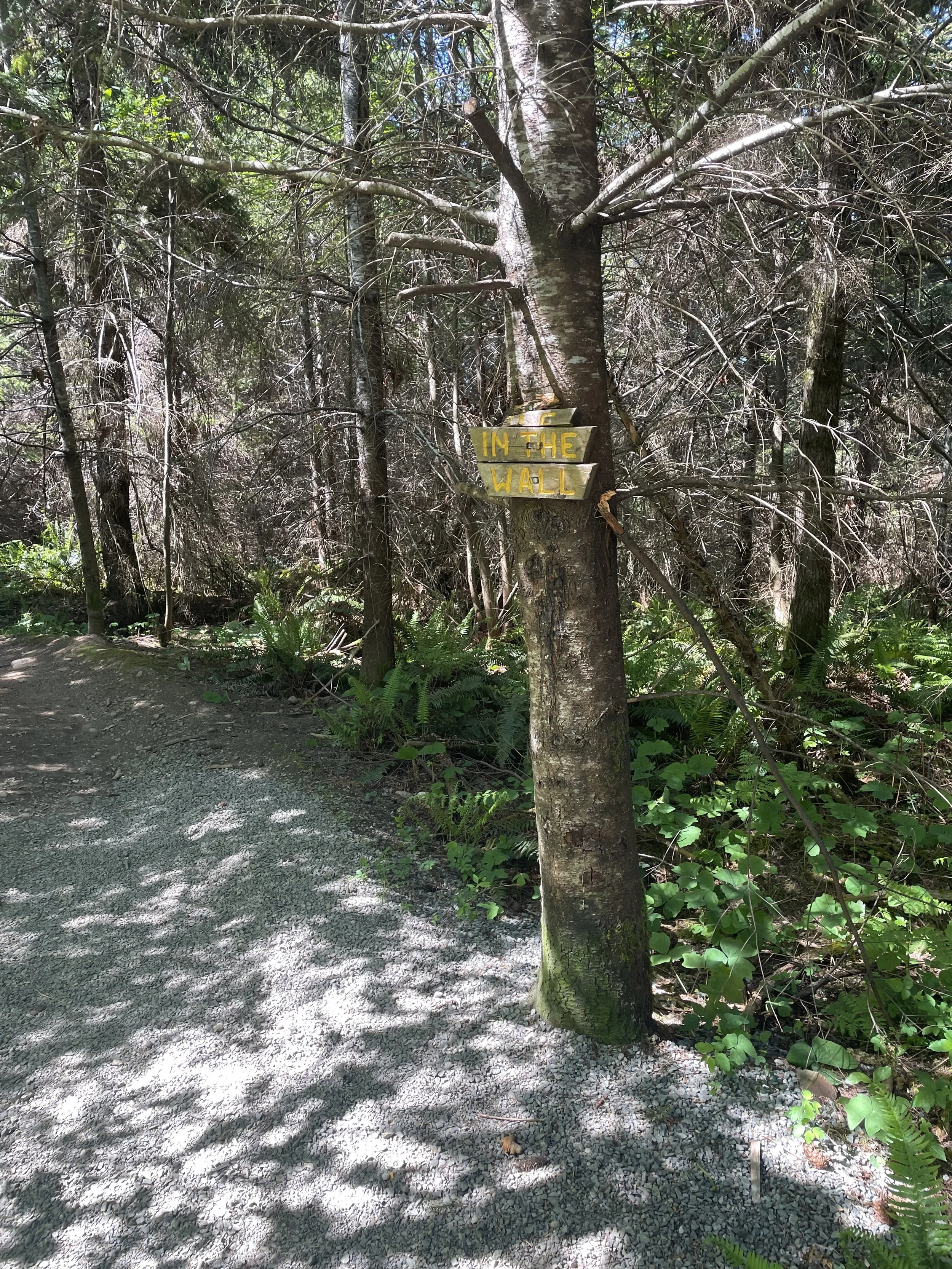 Hole in the Wall marker at the beginning of the trail in Port Alberni