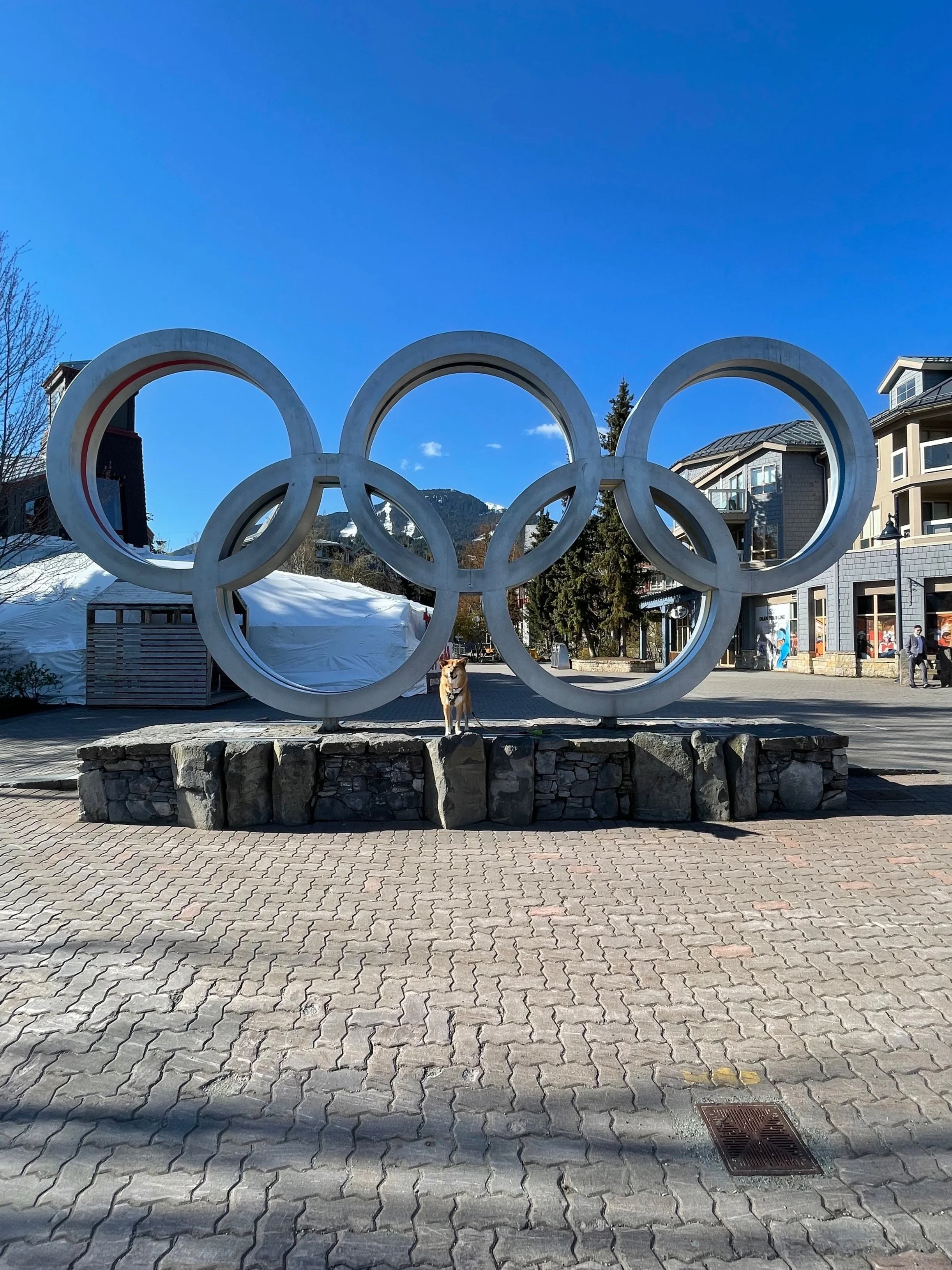 Markus standing in front of the Olympic rings in Whistler Village