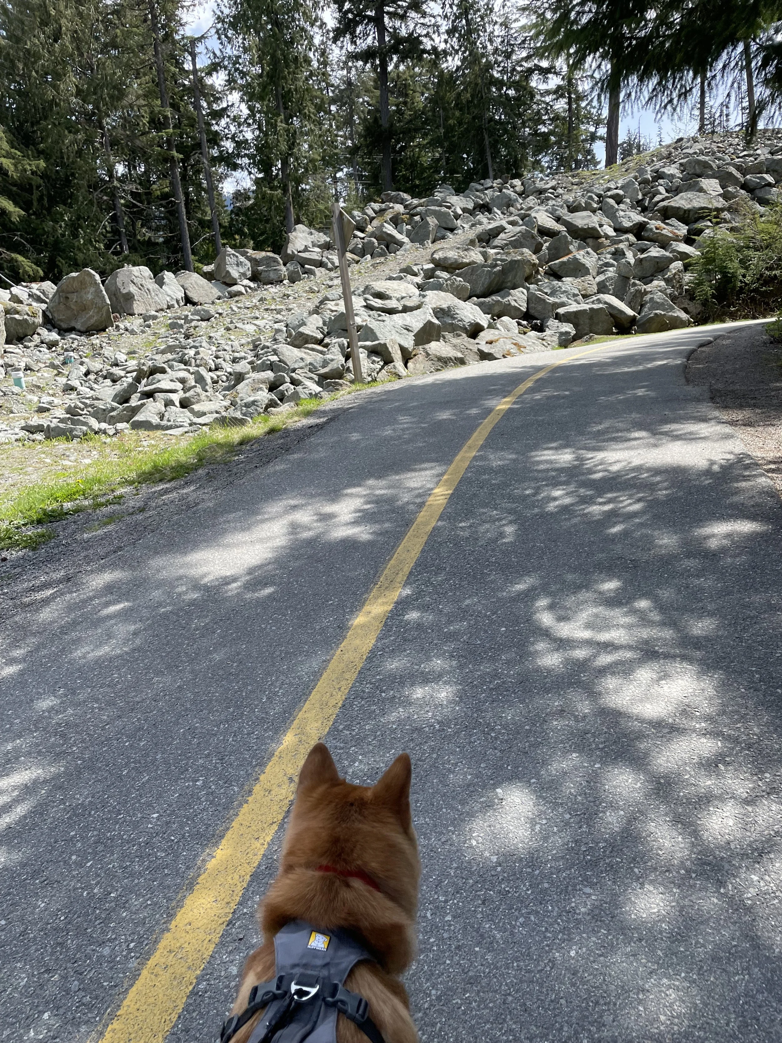 Markus walking on the path just leaving Alta Lake towards Nita Lake