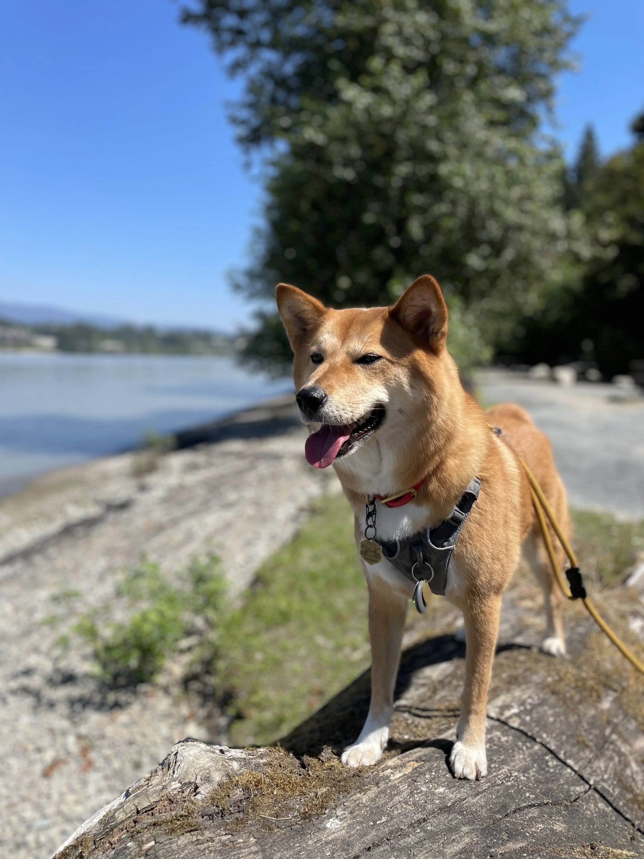 Markus enjoying the view at Derby Reach Regional Park
