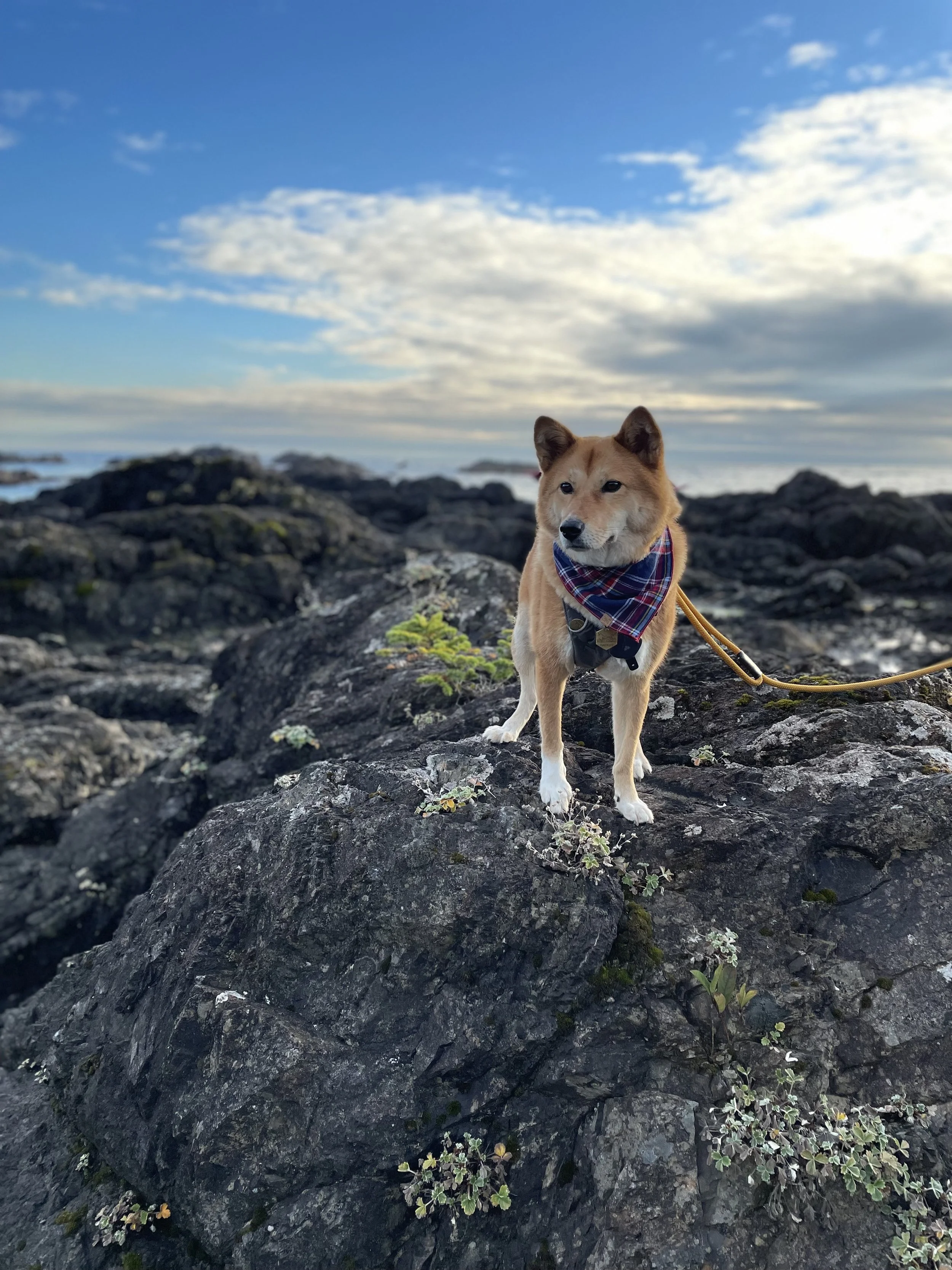 Markus standing on the black rocks outside the Black Rock Oceanfront Resort