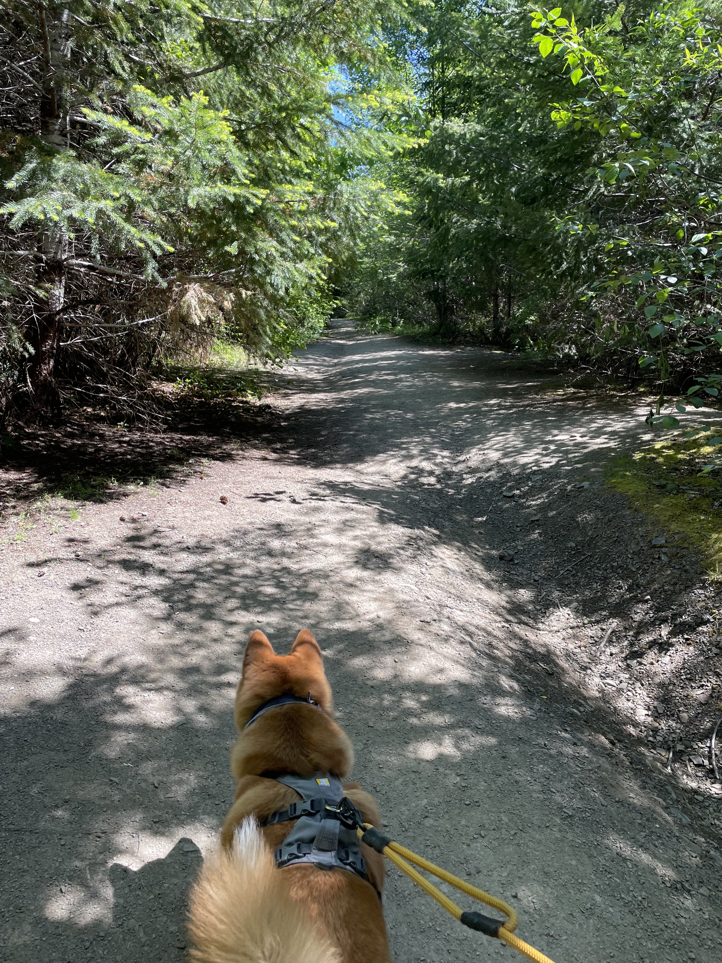 Markus walking up the path from the Hole in the Wall