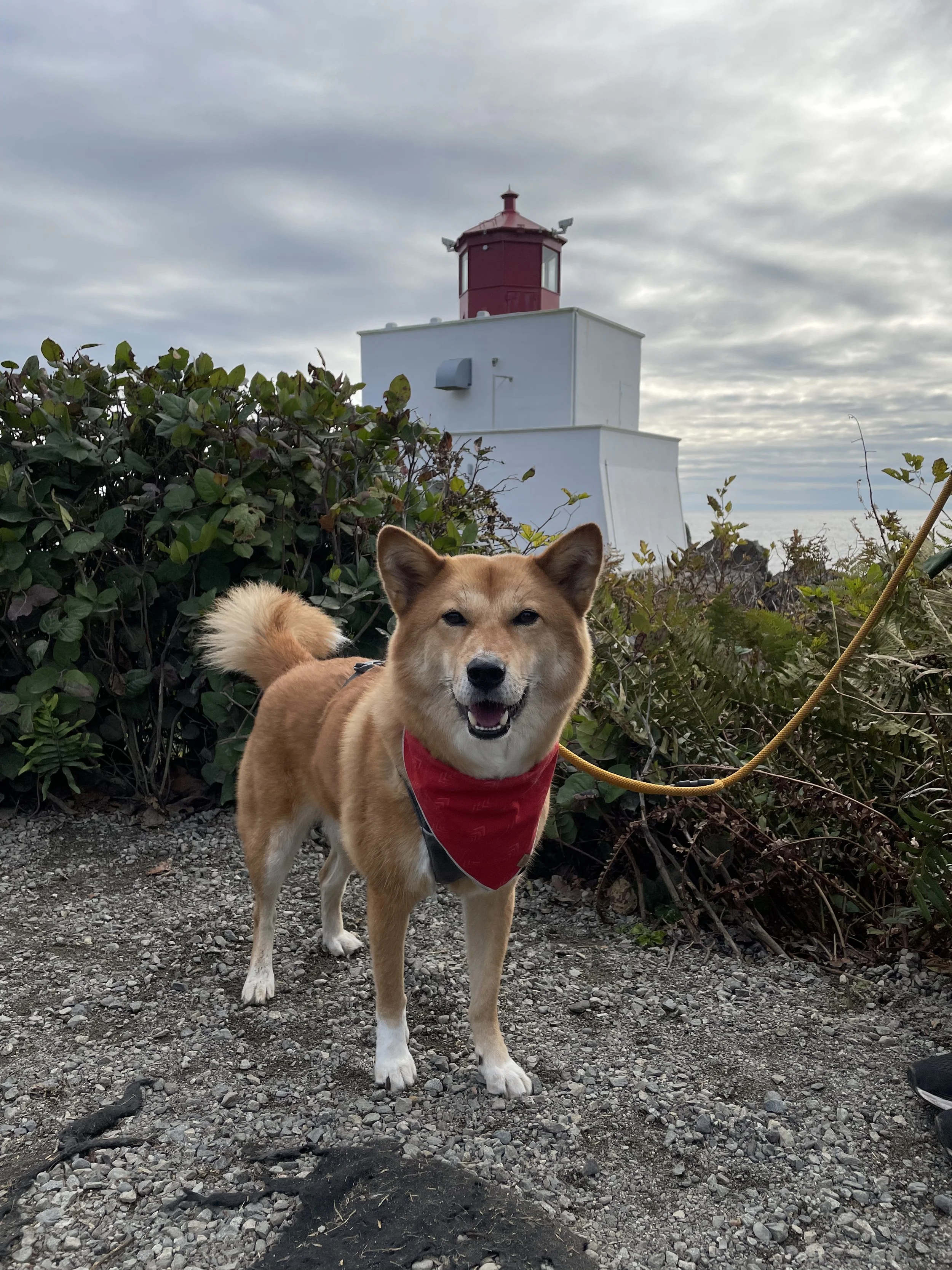Markus stopping for a pose in front of the Amphitrite Point Lighthouse