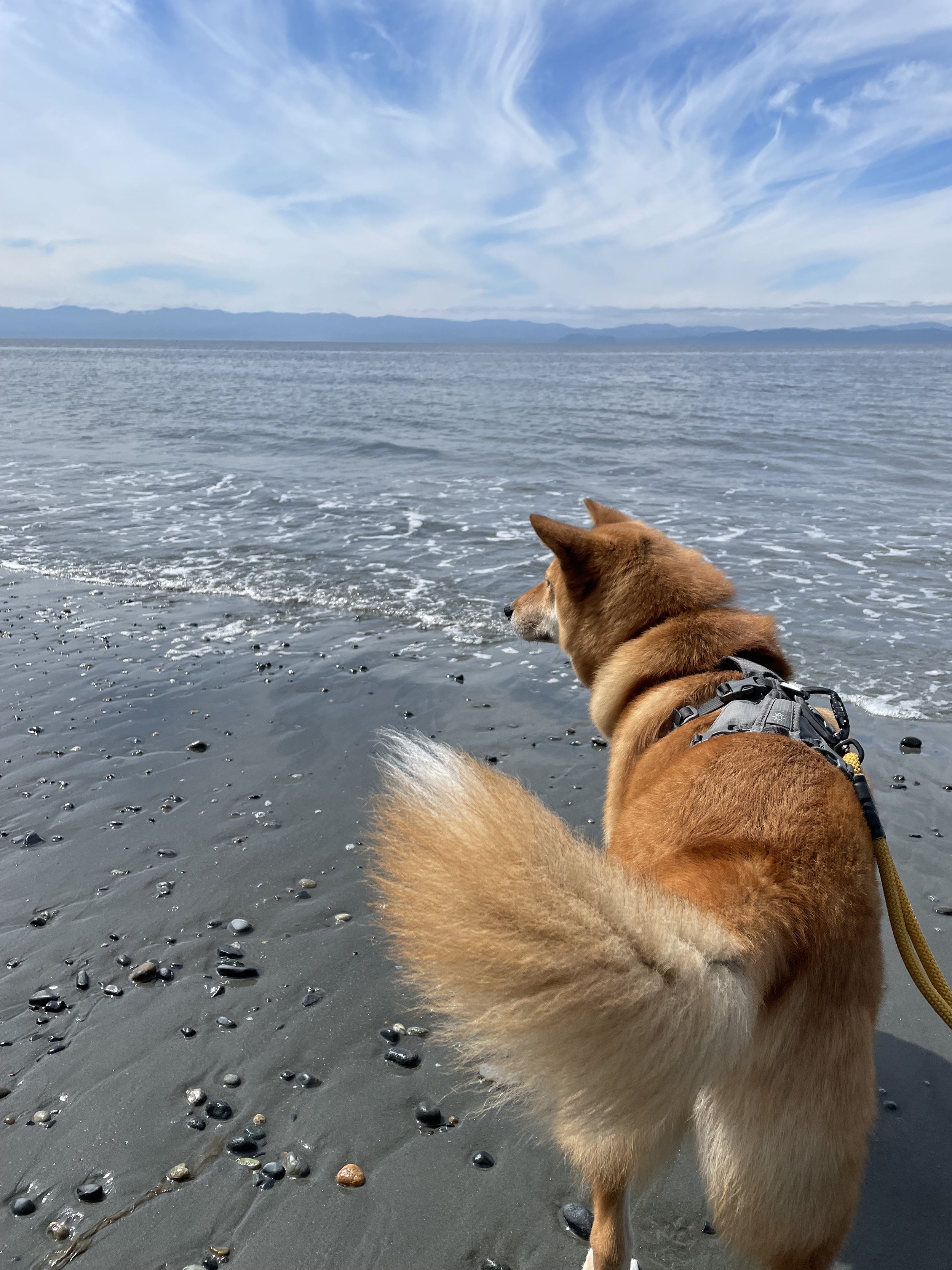 Markus walking on the sand beyond the large rocks at Sandcut Beach
