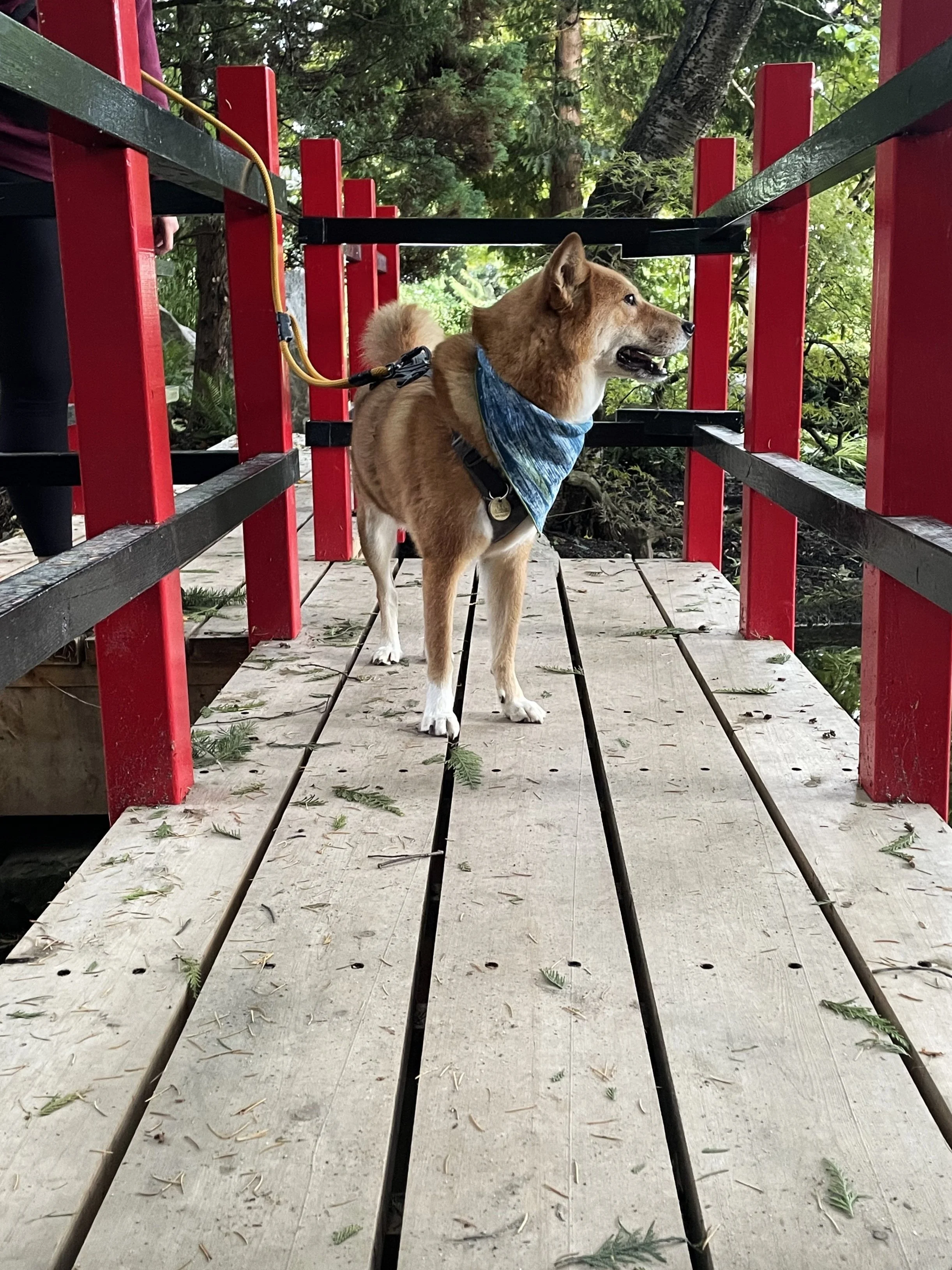 Markus posing on the bridge at Tipperary Park