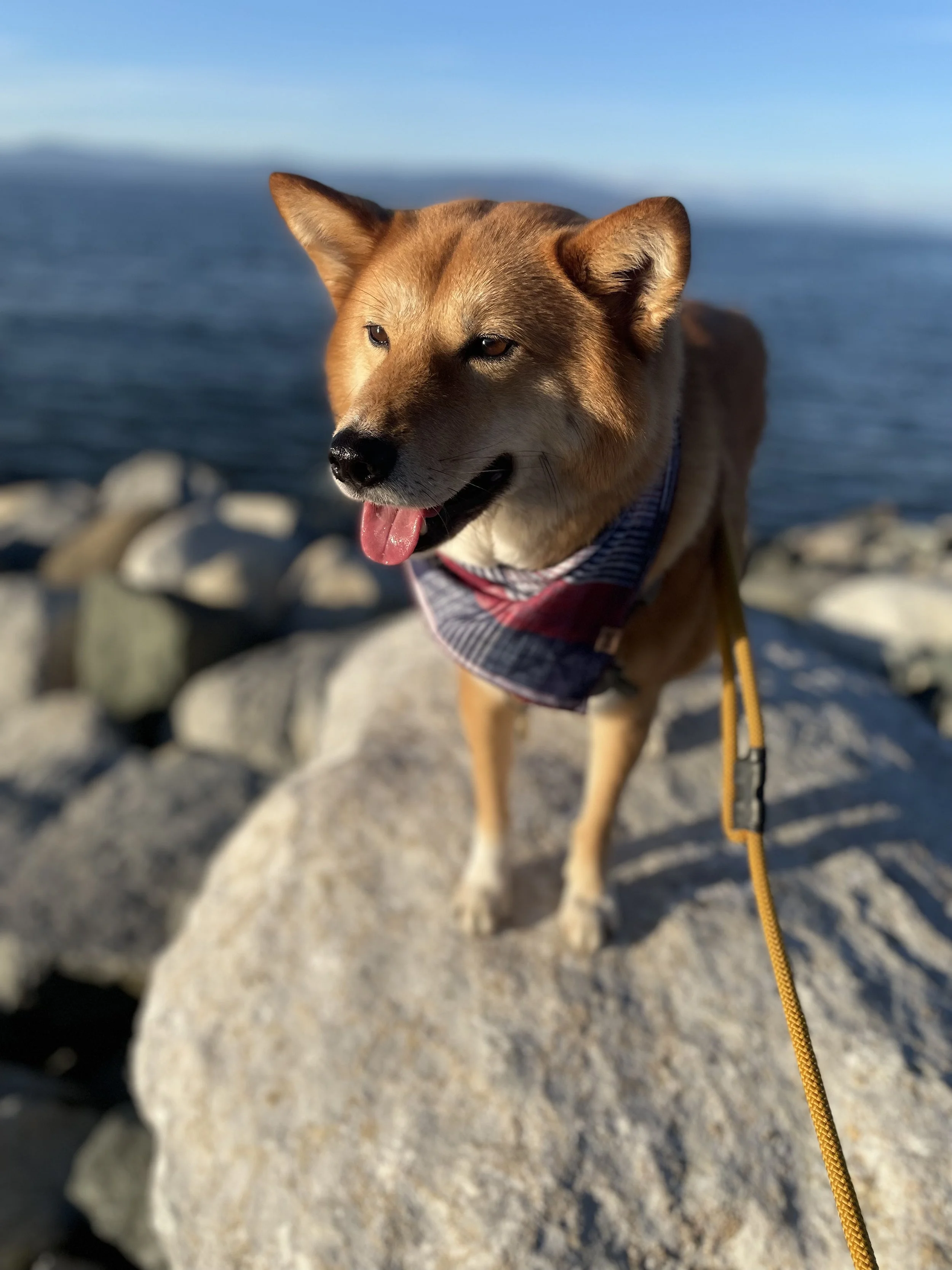 Markus enjoying the scenery at Qualicum Beach, East Beach