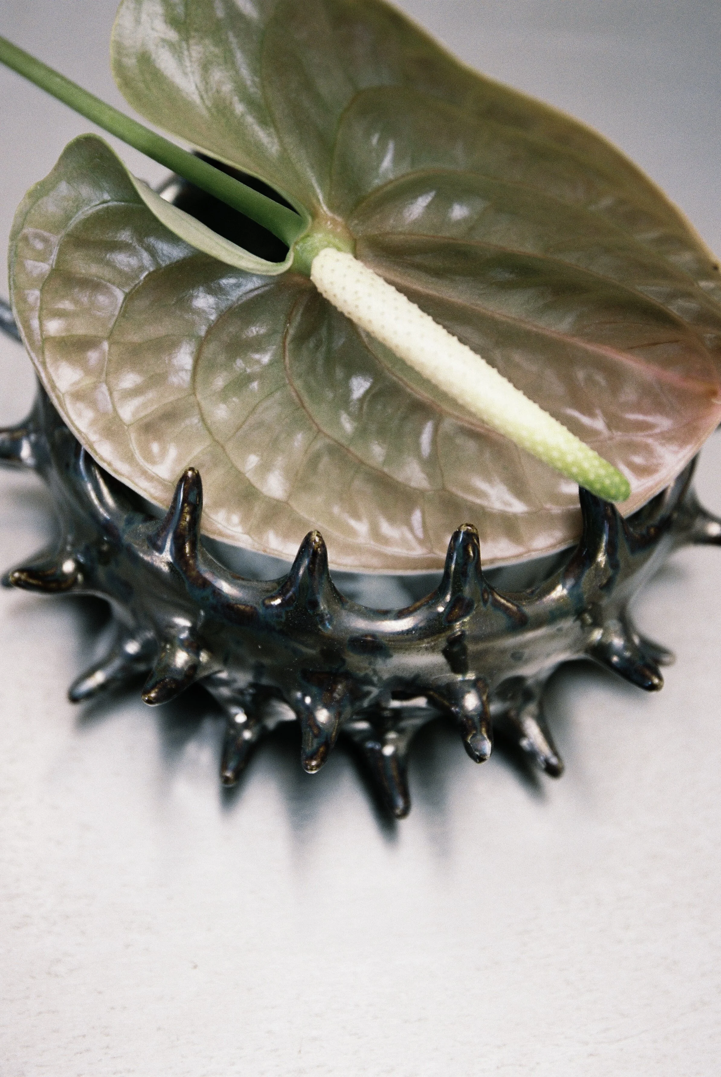 SPIKE BOWL - HORNI CHROME - PRE ORDER