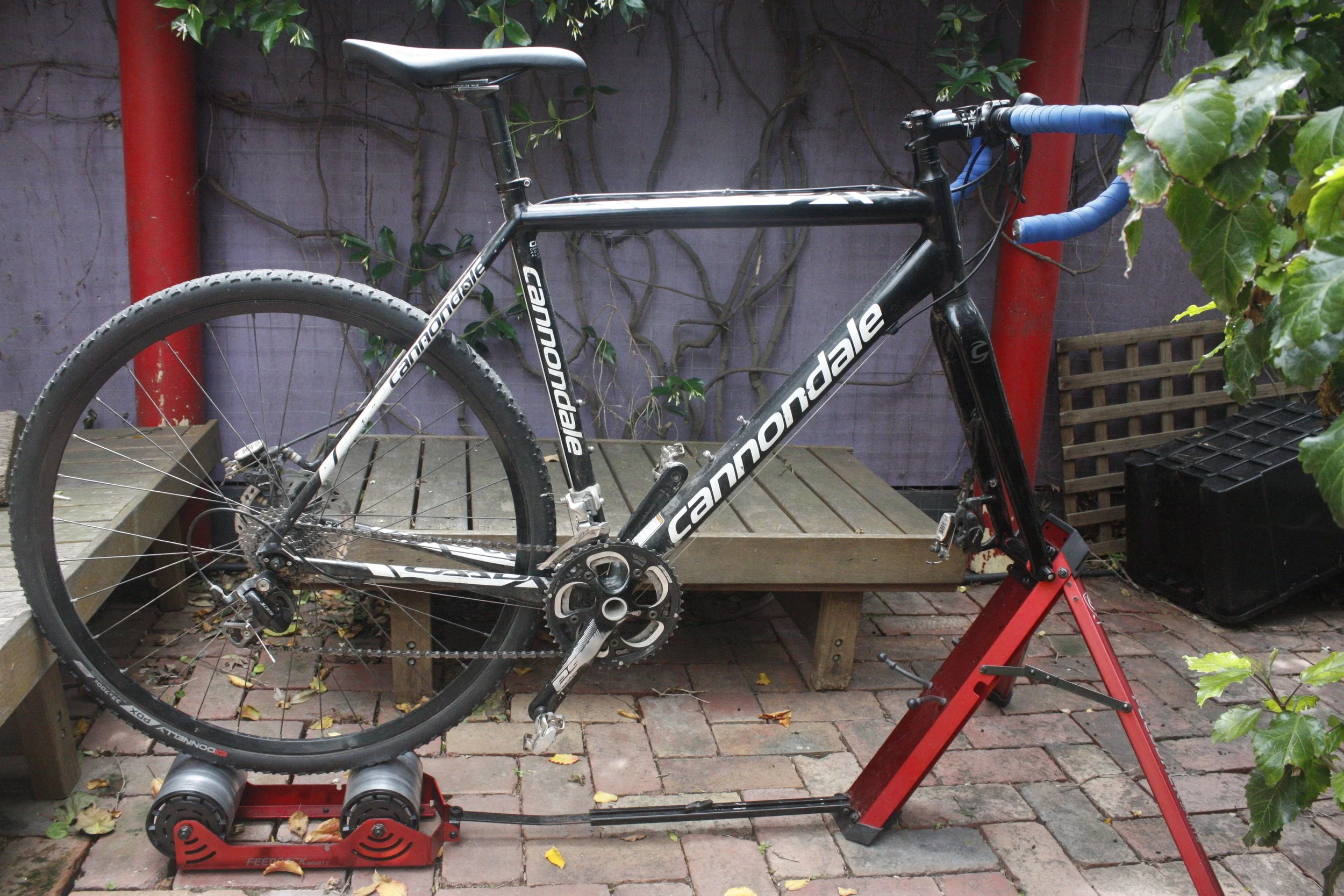 Your CX-Mas Gift Guide - Something special