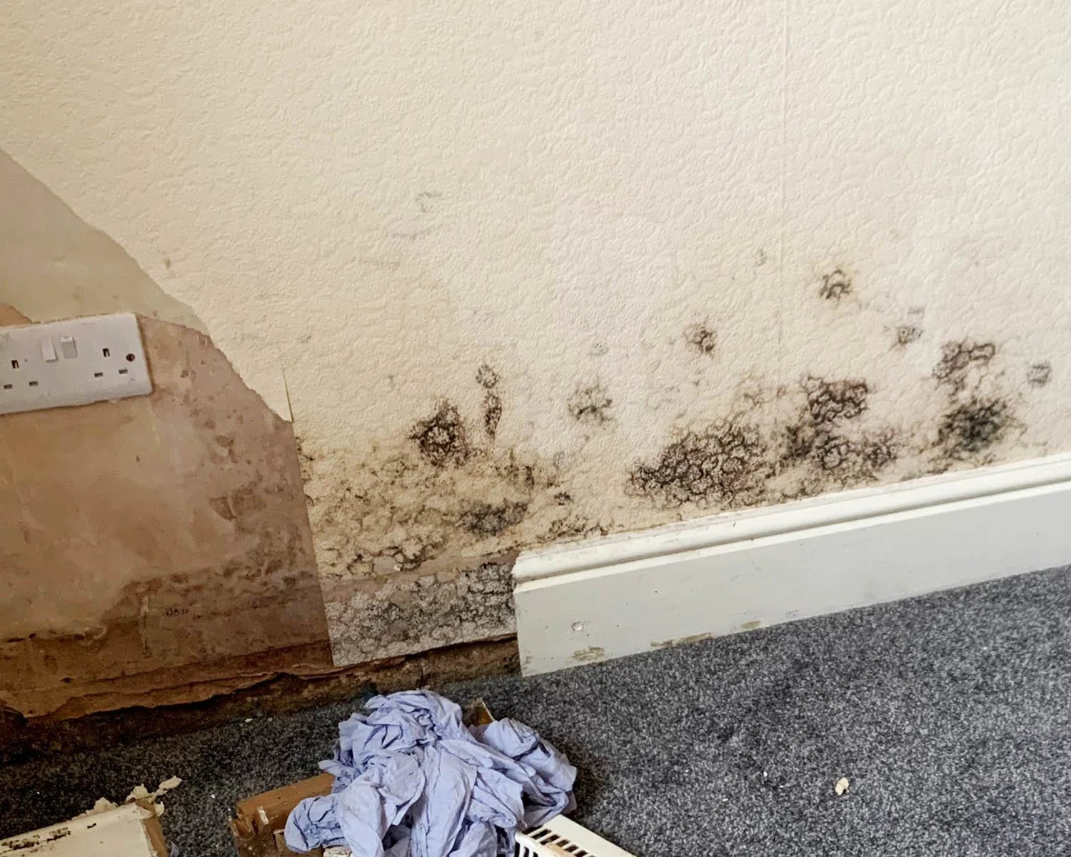 Damp and mould-stained skirting board on a carpeted wall, with peeling plaster and exposed socket