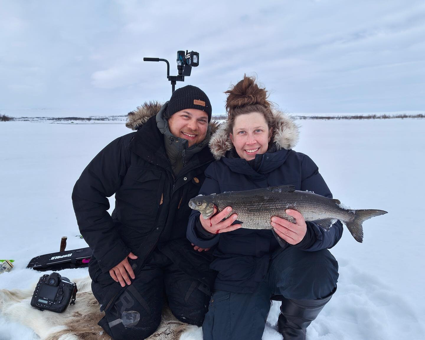 T&auml;n&auml; kev&auml;&auml;n&auml; painotettiin pilkki&auml; isoihin siikoihin. Ja niit&auml;h&auml;n tuliki sitte ihan mukavasti! 🎣 #kahenkilonsiika-clubiin p&auml;&auml;si useampi noheva onkija! 

T&auml;st&auml; polkastaan mertaimenkauden kaut