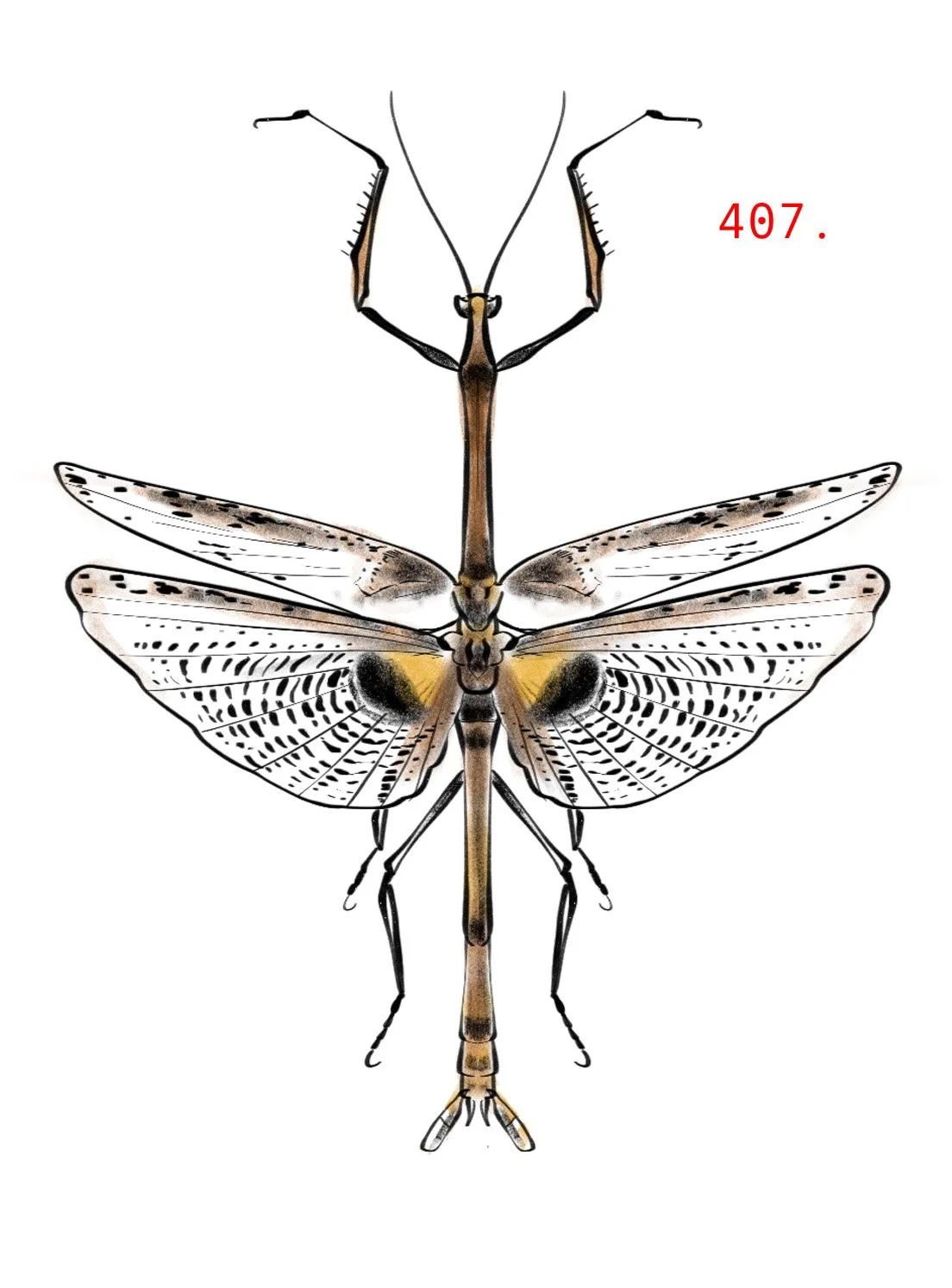 bugflash5.jpg