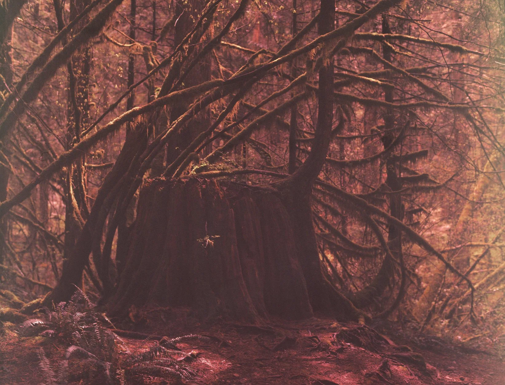 Golden Ears