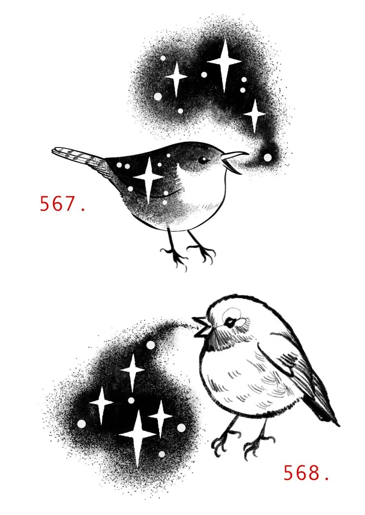 568birbs.jpg