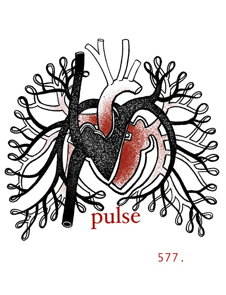577pulse.jpg