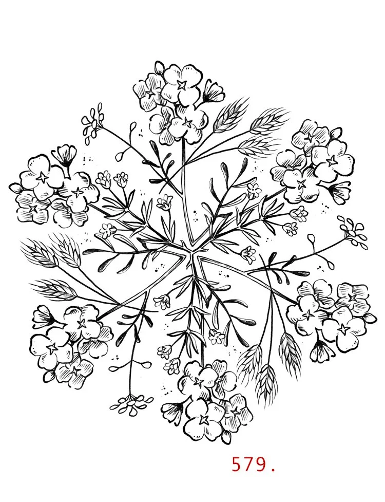 579mandalaflowers.jpg