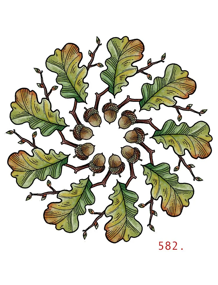 582mandalaglands.jpg