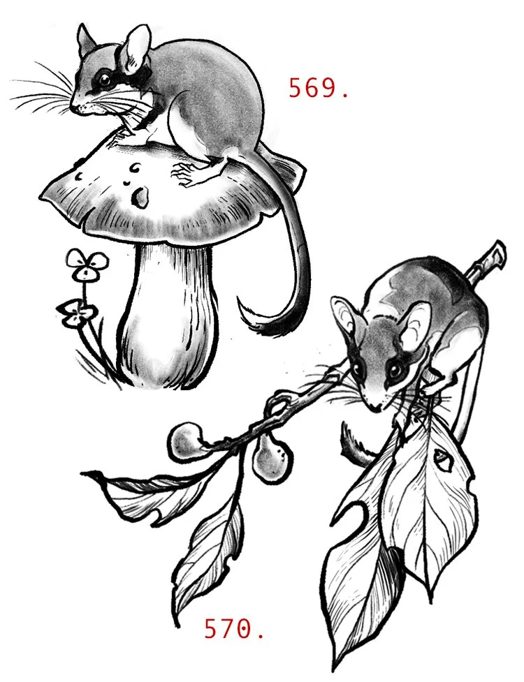 dormouse.jpg