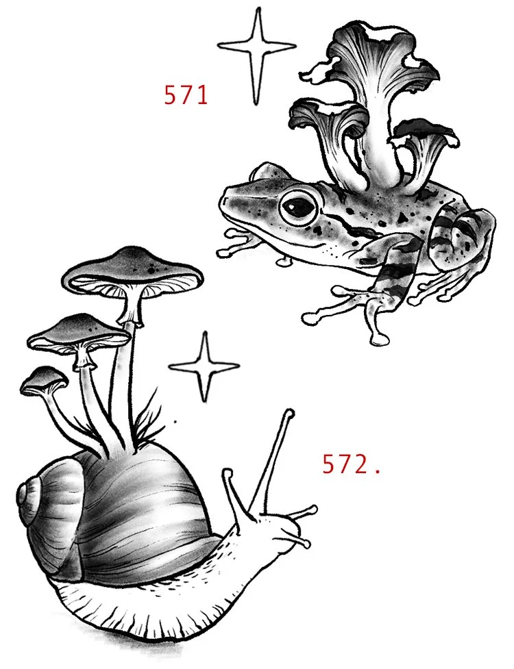 snailshroom.jpg