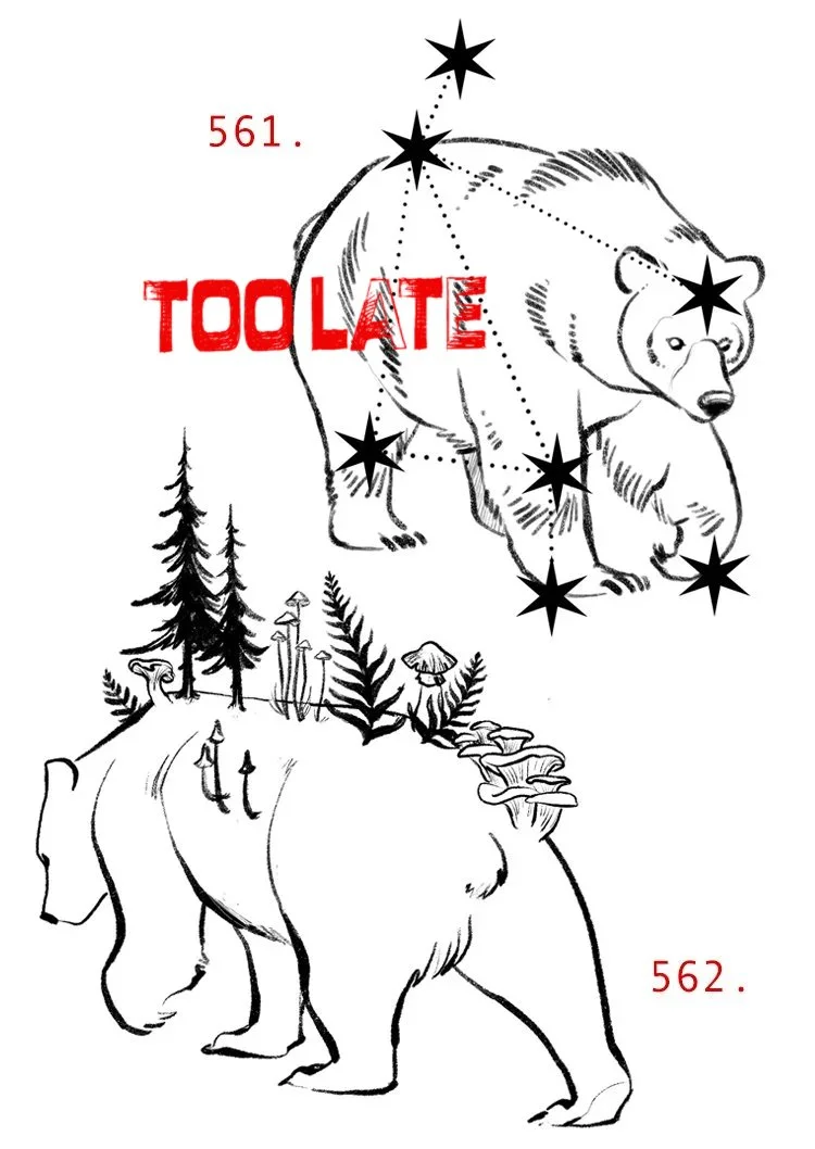 561bears copie.jpg